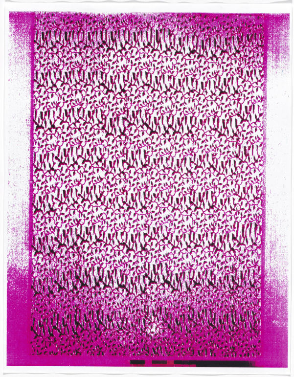 Christopher Wool Cats in Bag (1990) | Conceptual Portfolio for Sale