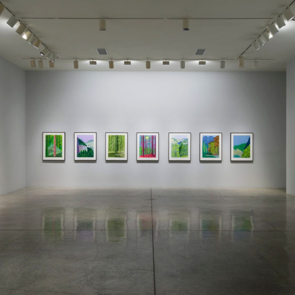 David Hockney Yosemite Suite artwork displayed in a contemporary interior