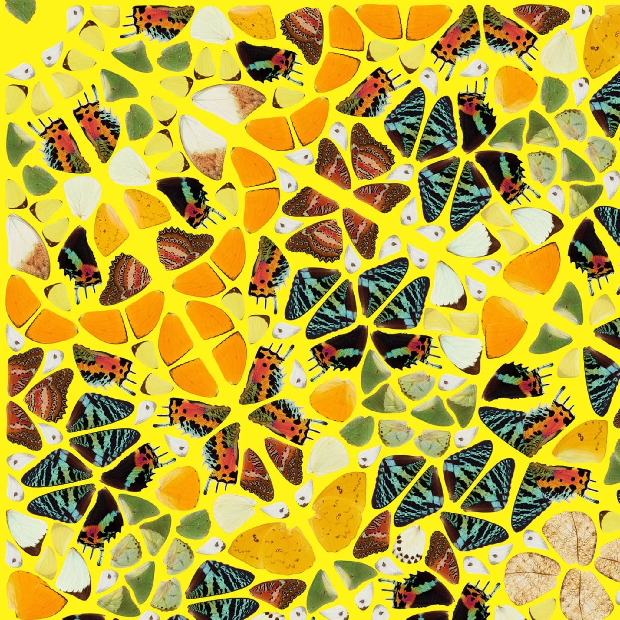 Damien Hirst H18 The Kaleidoscopes