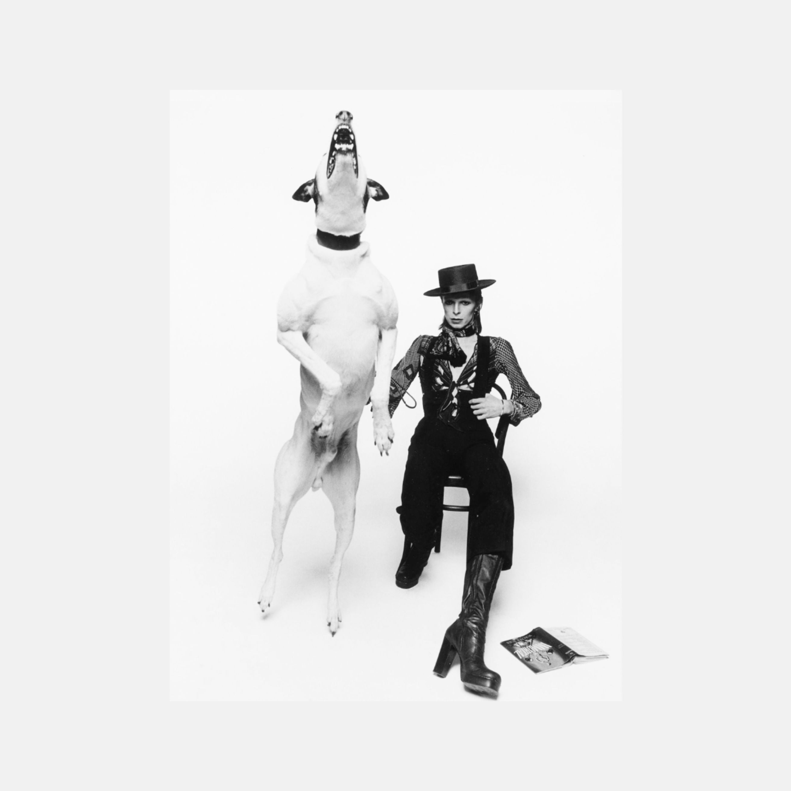 Terry O'Neill For Sale | Lougher Contemporary