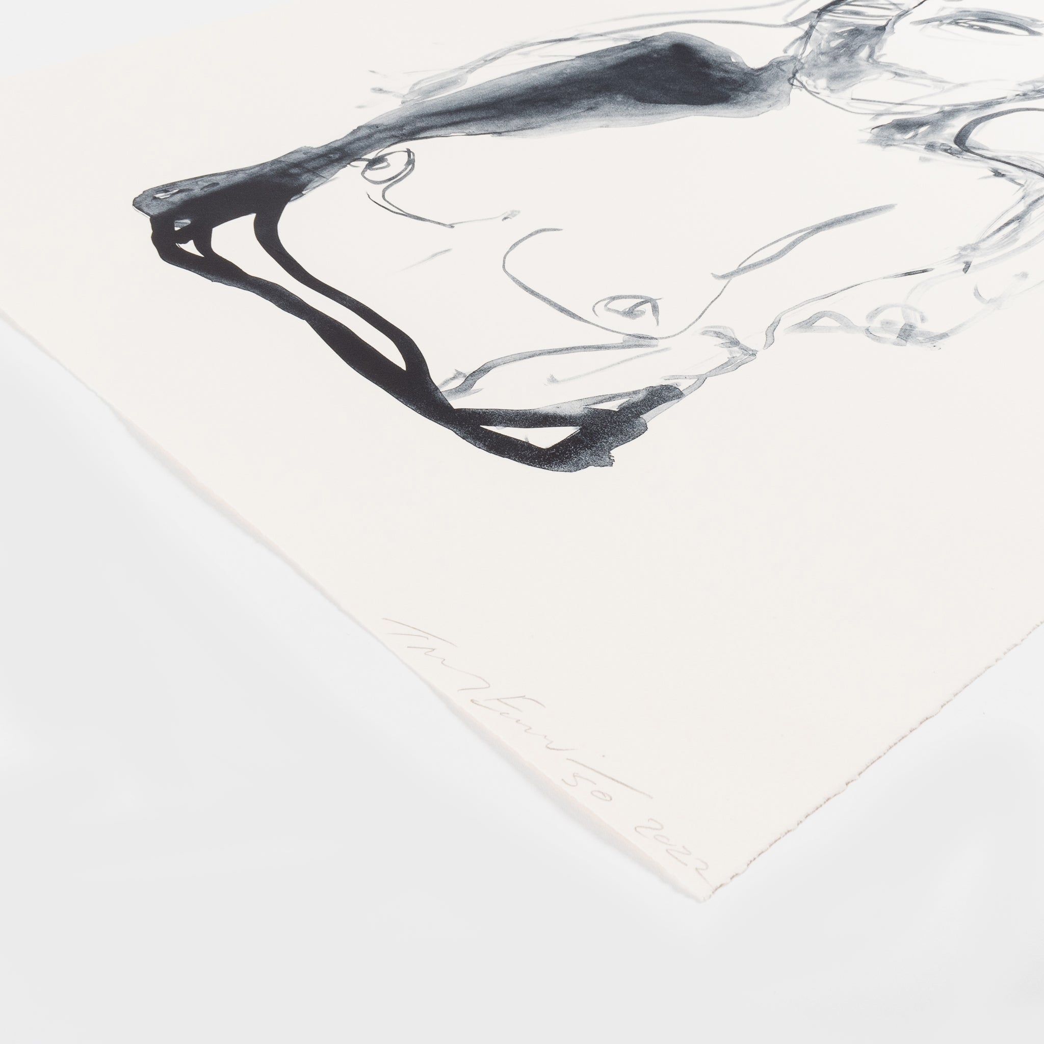 Tracey Emin, A Feeling of Shock (from A Journey to Death), 2022 For Sale | Lougher Contemporary