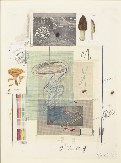 Cy Twombly Plate VII Natural History (1974) | Limited Edition Print for Sale