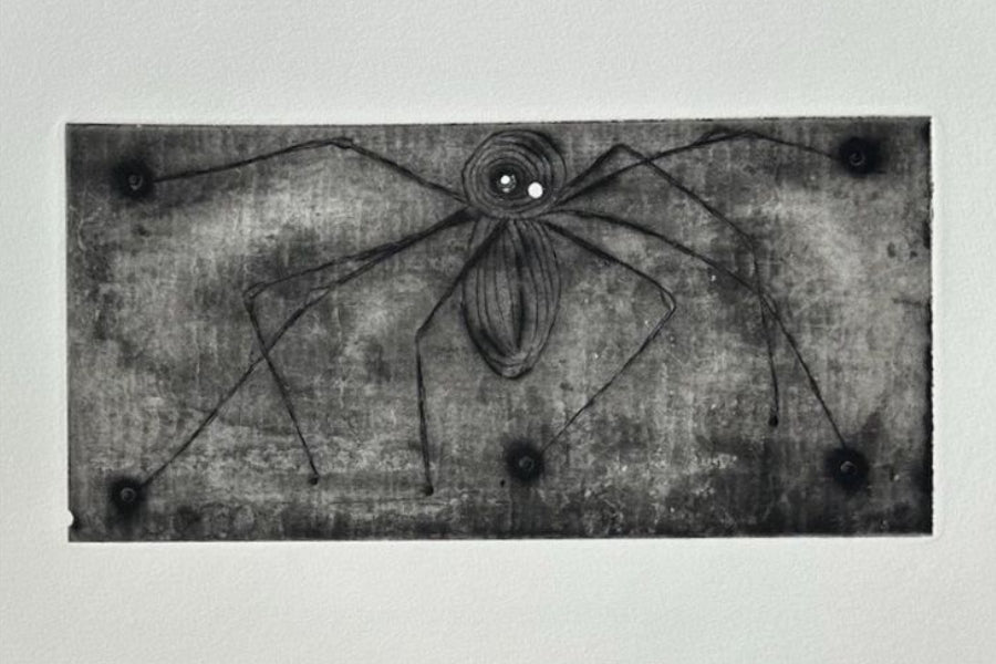 Close detail of Louise Bourgeois Ode à Ma Mère 1995 drypoint engraving showing artist linework and printed text