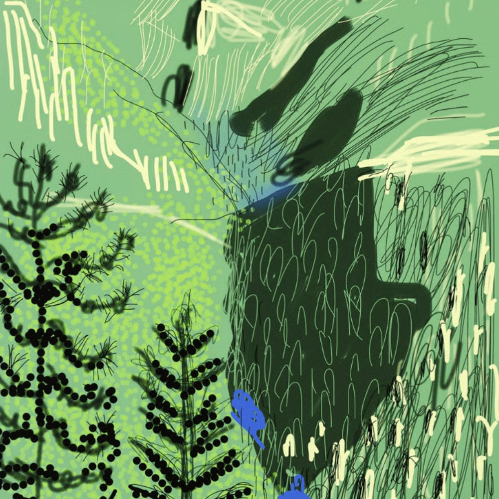 Detail of David Hockney Untitled No. 21 from The Yosemite Suite 2010