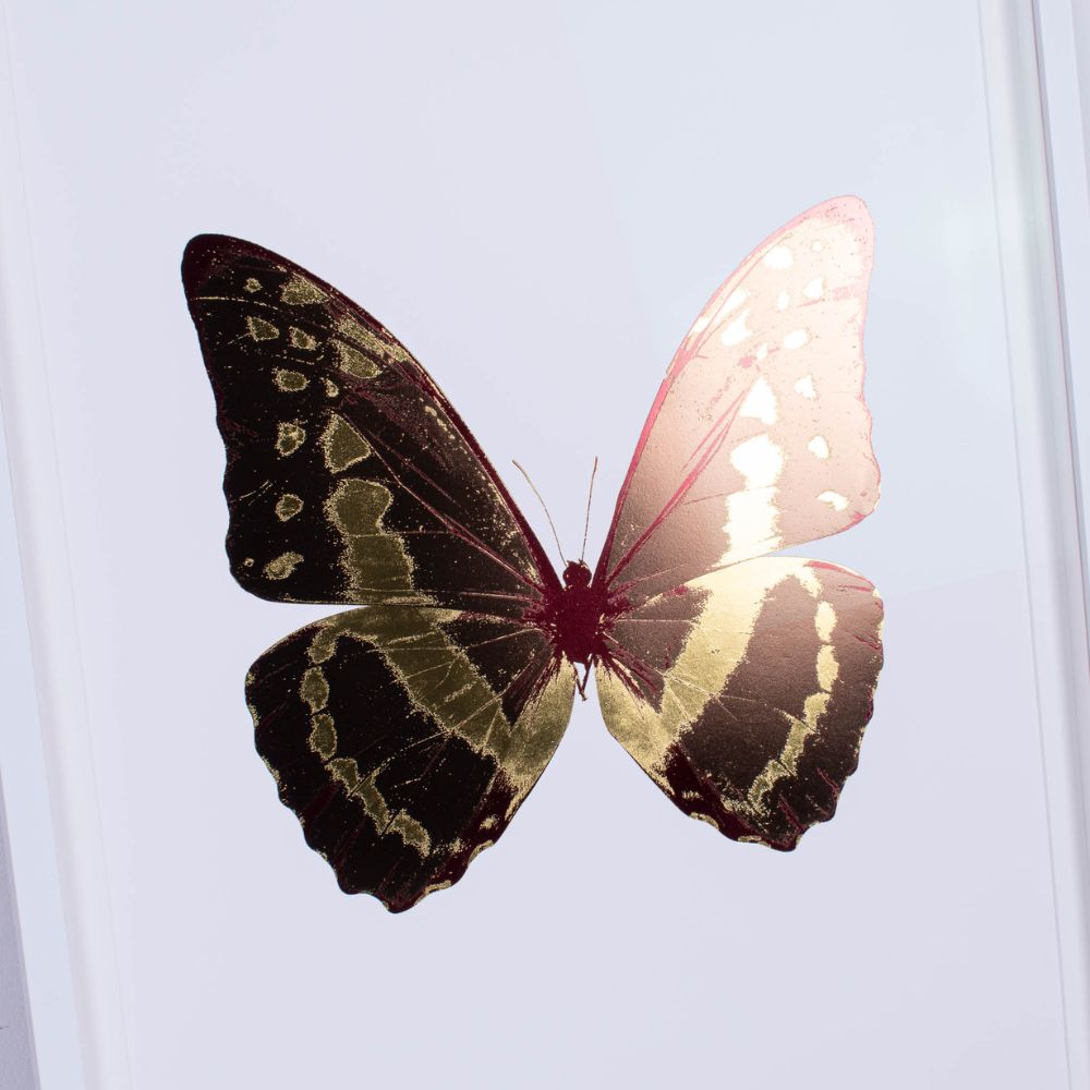 Butterfly with black, gold, and pink wings on a light blue background