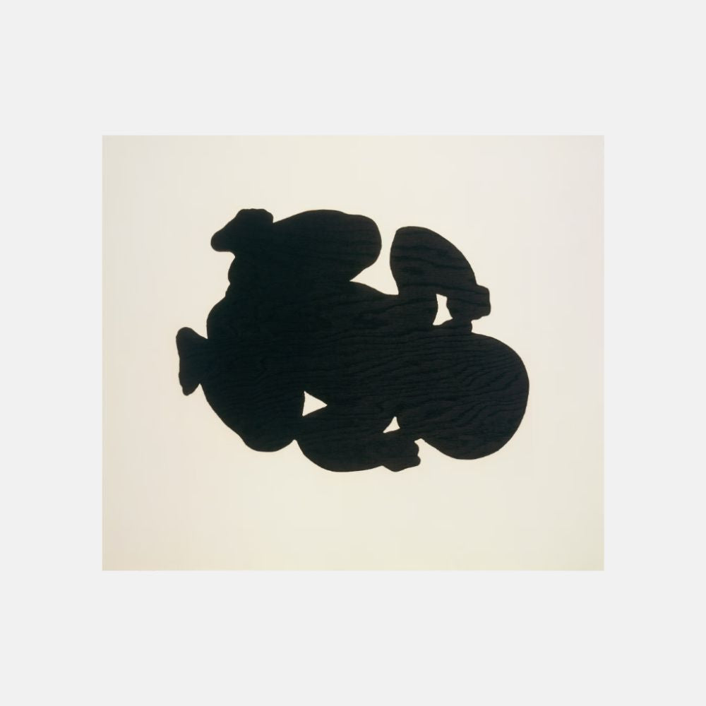 Antony Gormley, Bearing Light VI, 1990