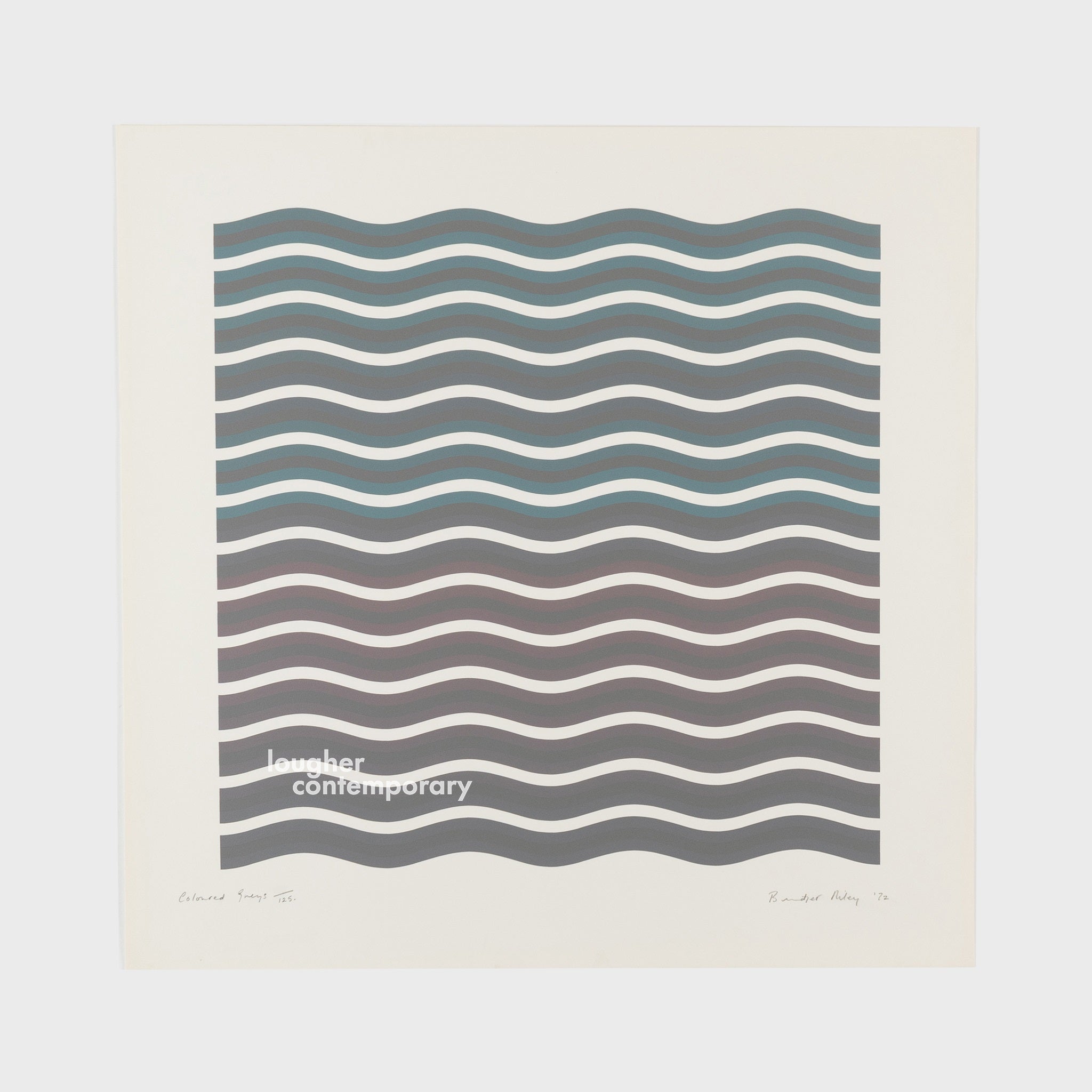 Bridget Riley, Coloured Greys (2), 1972 For Sale | Lougher Contemporary