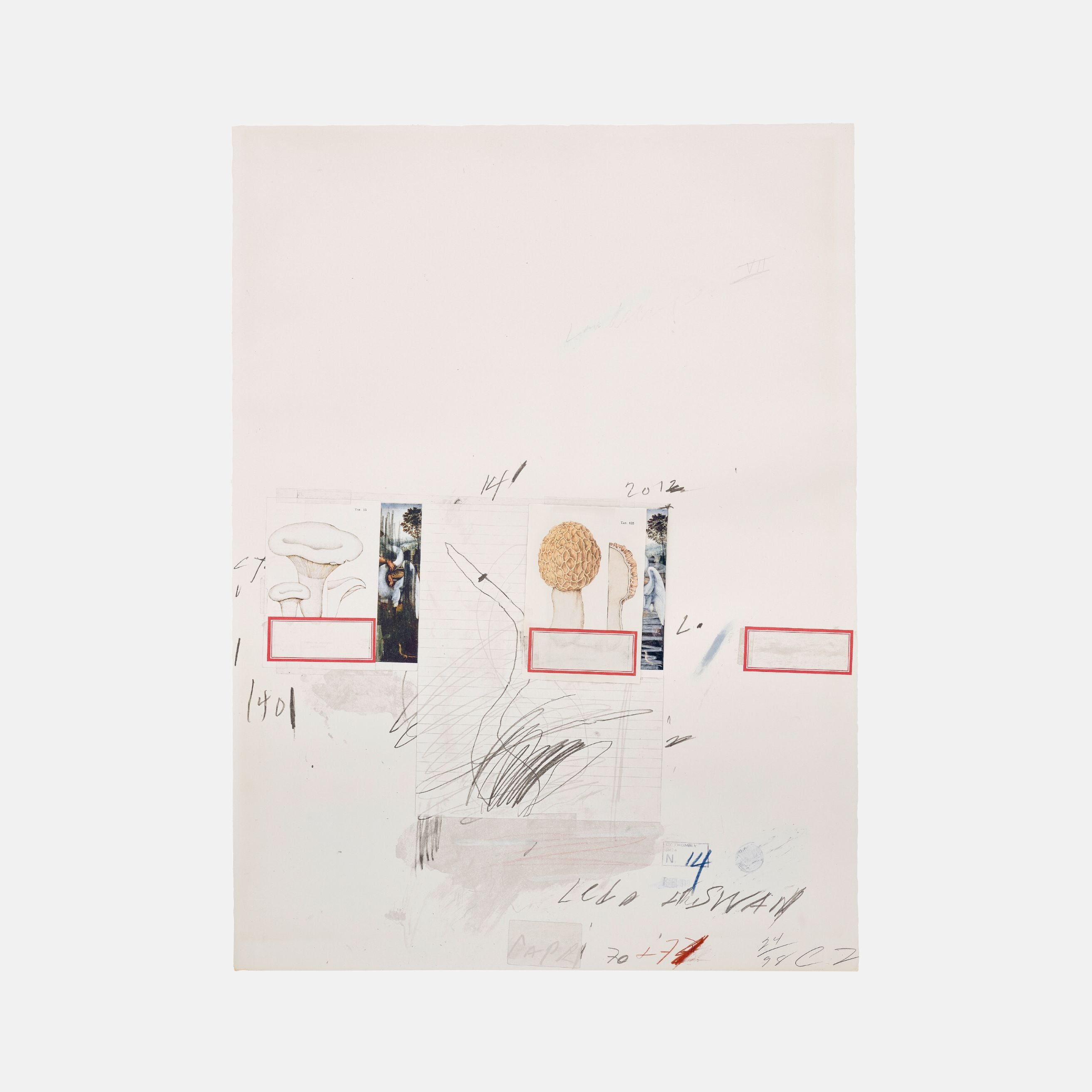 Cy Twombly, No. I, from Natural History, Part I, Mushroom (Bastian 42), 1974 For Sale | Lougher Contemporary