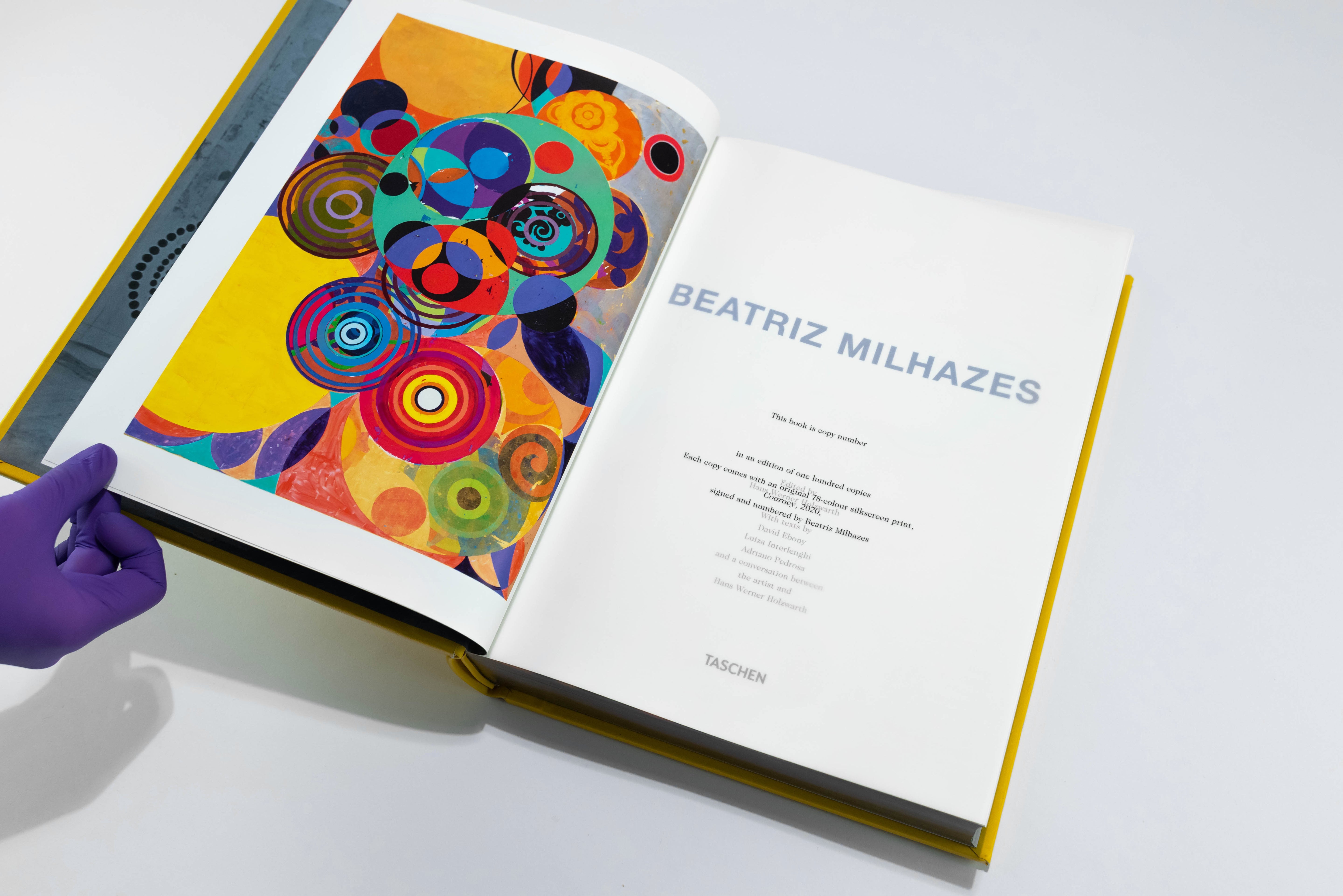 Cataloguing and Condition Checking Guide for Art Collectors