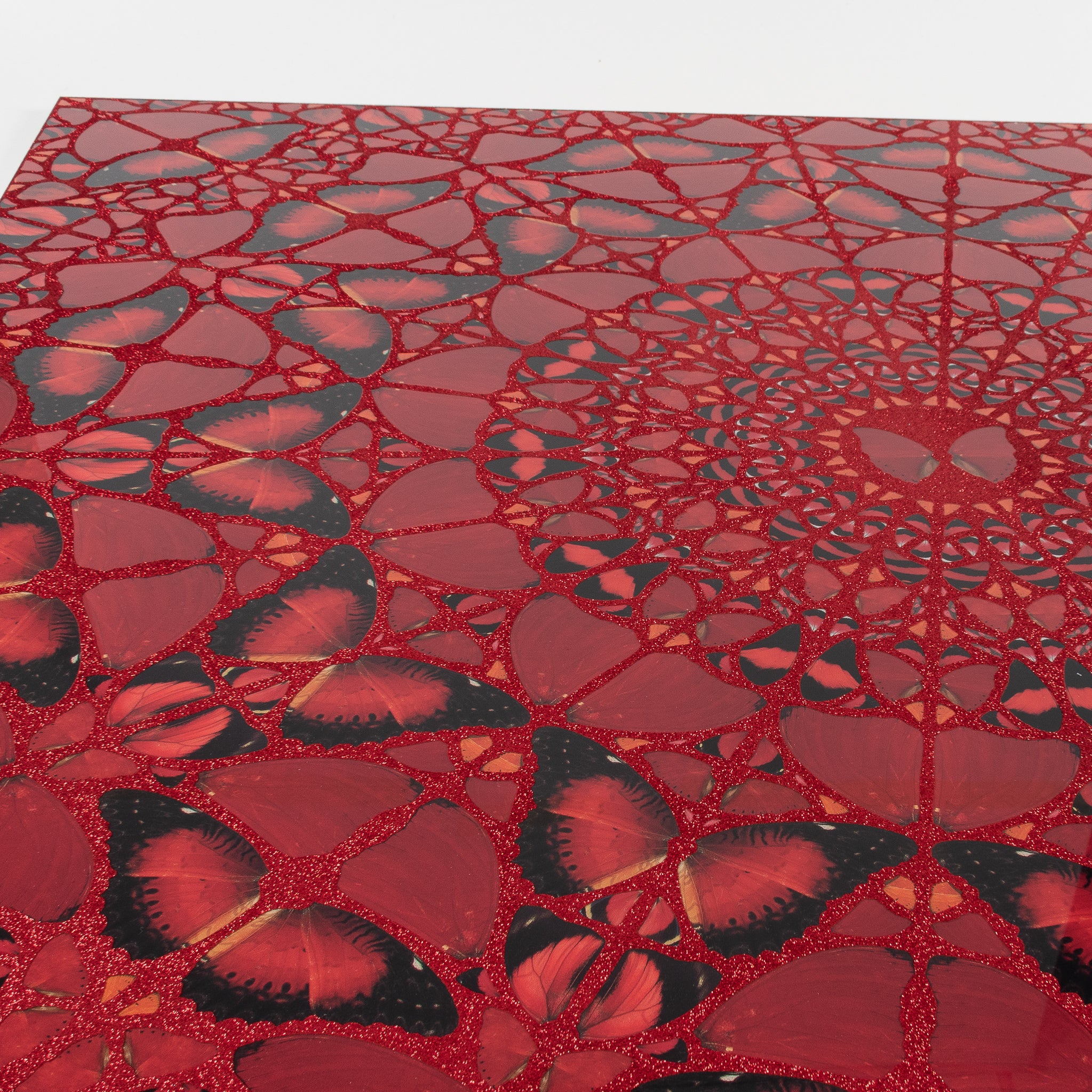 Damien Hirst H10 artwork with glitter surface detail