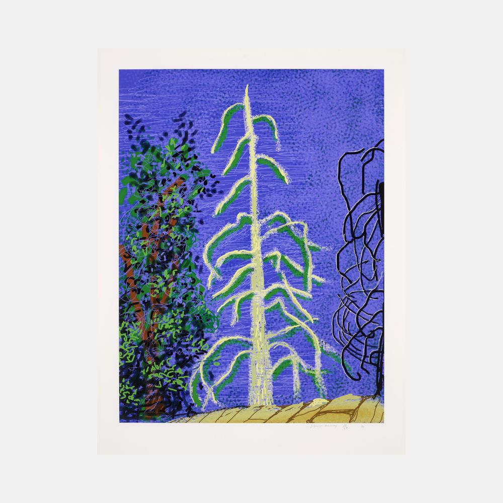 David Hockney, Untitled No.14 from The Yosemite Suite, 2010 For Sale | Lougher Contemporary