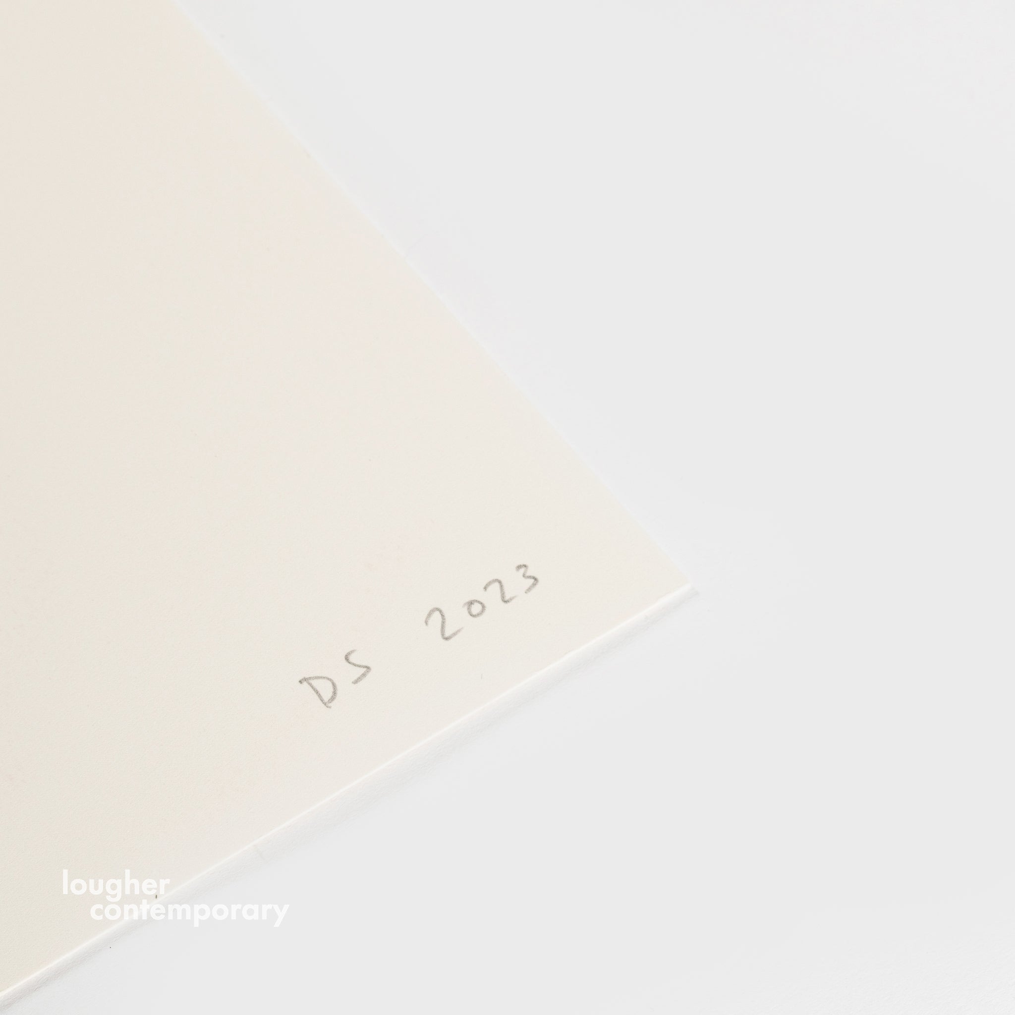 David Shrigley, The Plant Loves Me I Am So Lucky, 2023 For Sale - Lougher Contemporary