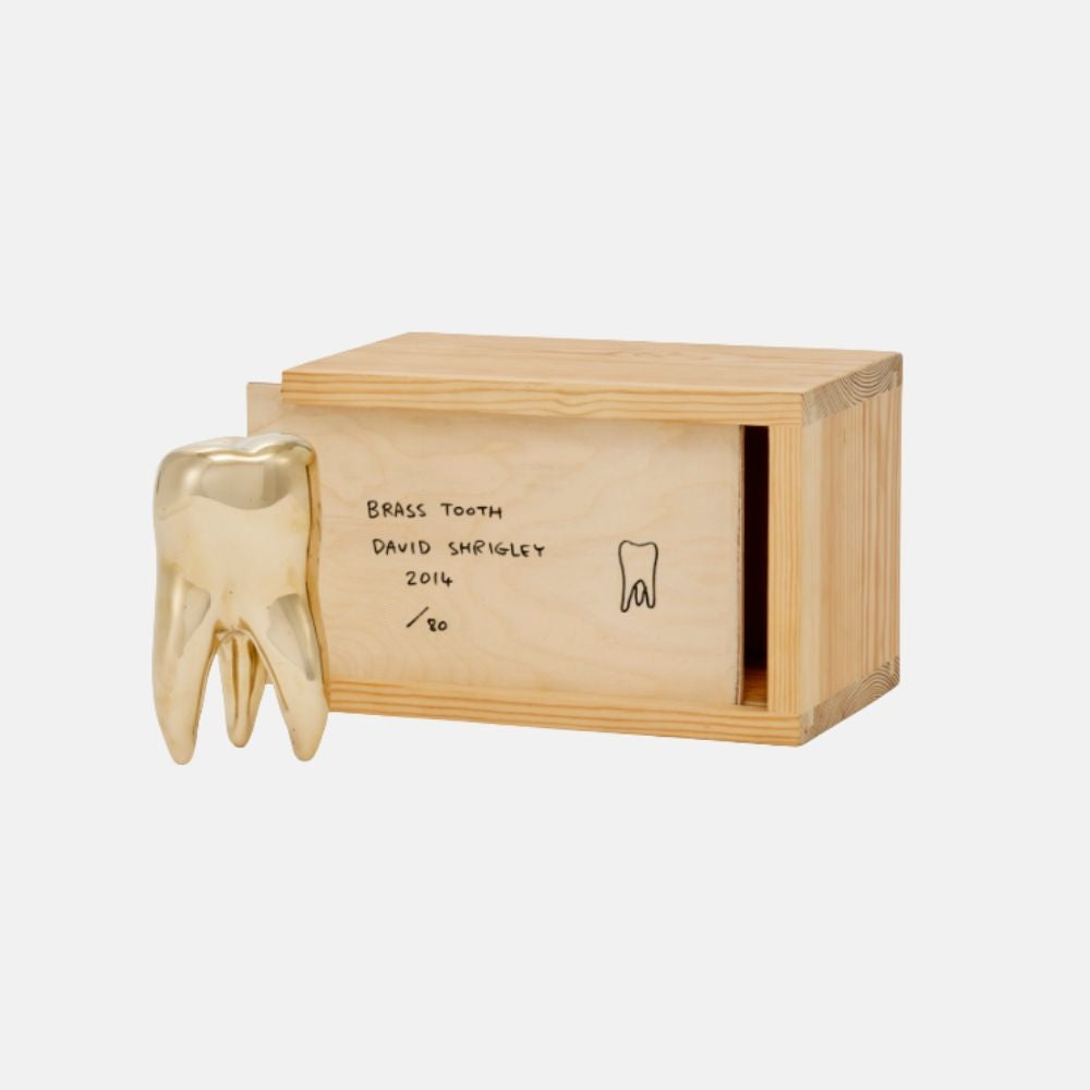 David Shrigley, Brass Tooth, 2014 For Sale | Lougher Contemporary
