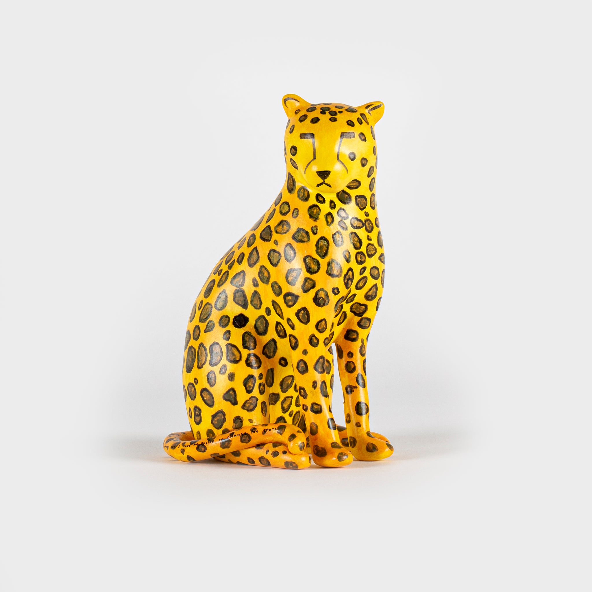 David Shrigley, I Cannot Change My Spots But I Have No Desire To Change My Spots, 2022 For Sale | Lougher Contemporary