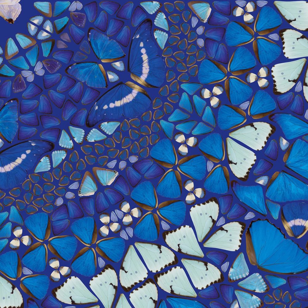 Damien Hirst, H18-2 Chameleon (from the Kaleidoscopes), 2024 For Sale | Lougher Contemporary
