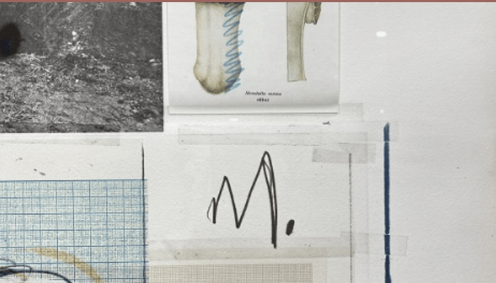Cy Twombly Plate VII Natural History (1974) | Limited Edition Print for Sale