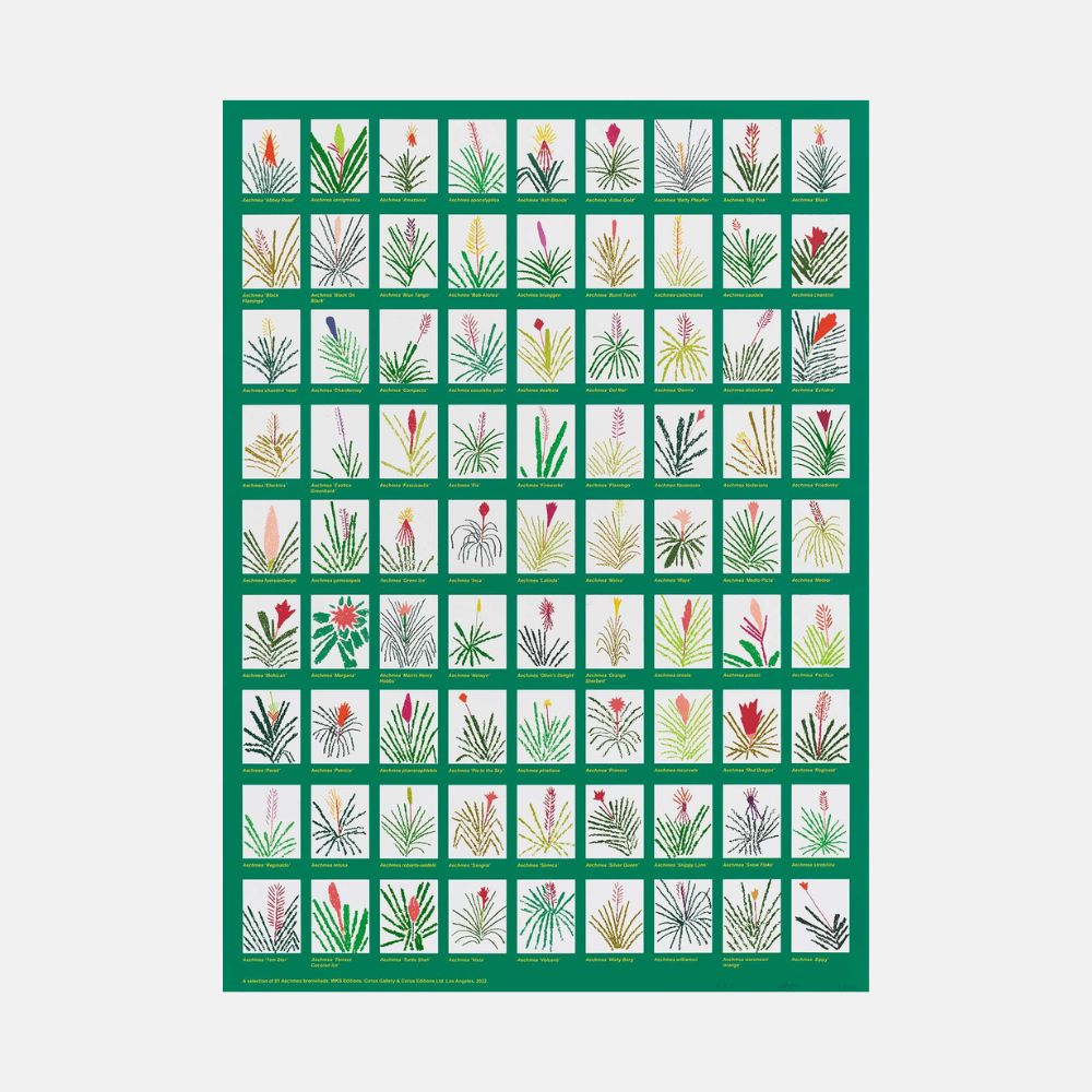 Jonas Wood, Aechmea Bromeliad Poster, 2022 For Sale | Lougher Contemporary