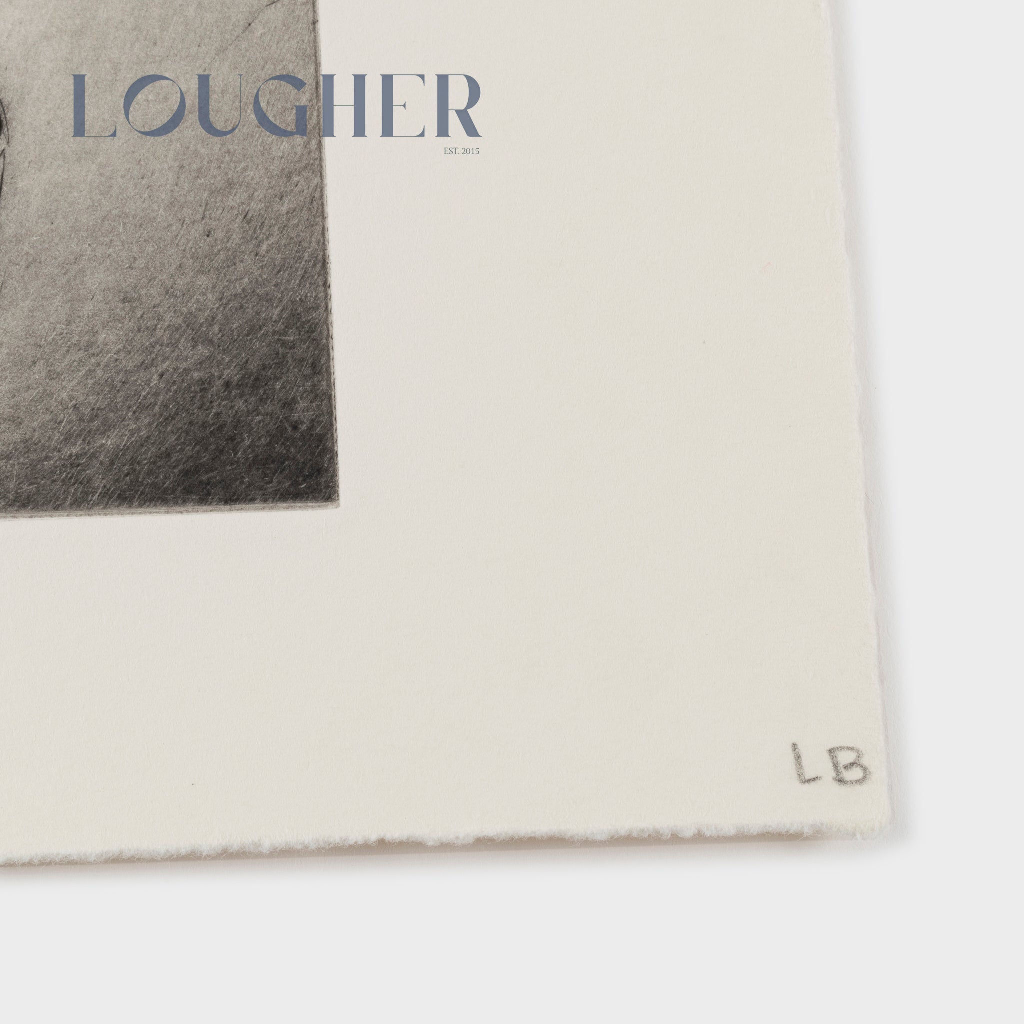 Limited edition Louise Bourgeois Untitled plate 8 print from Ode à Ma Mère, 1995, featuring abstract artwork with textured details.