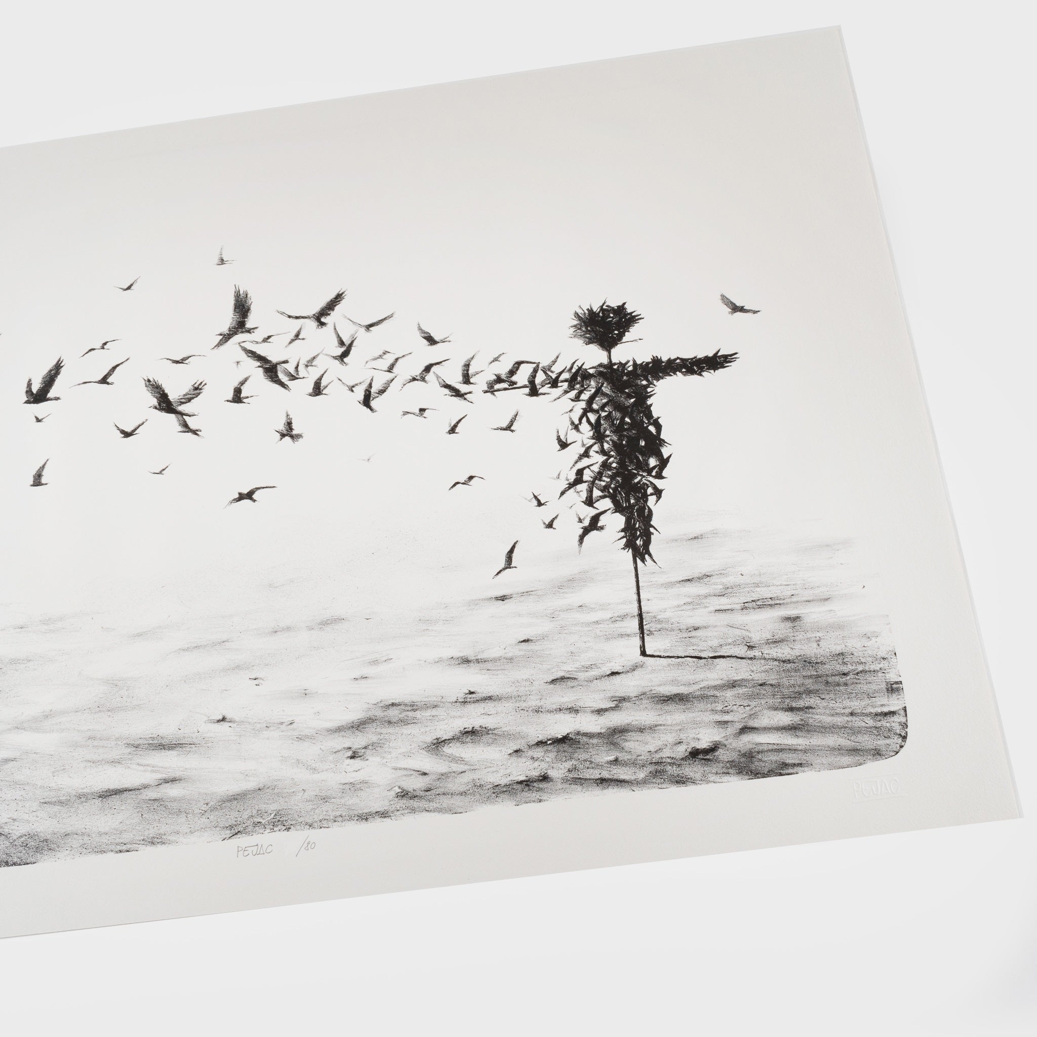 Pejac, Scattercrow, 2017 For Sale - Lougher Contemporary