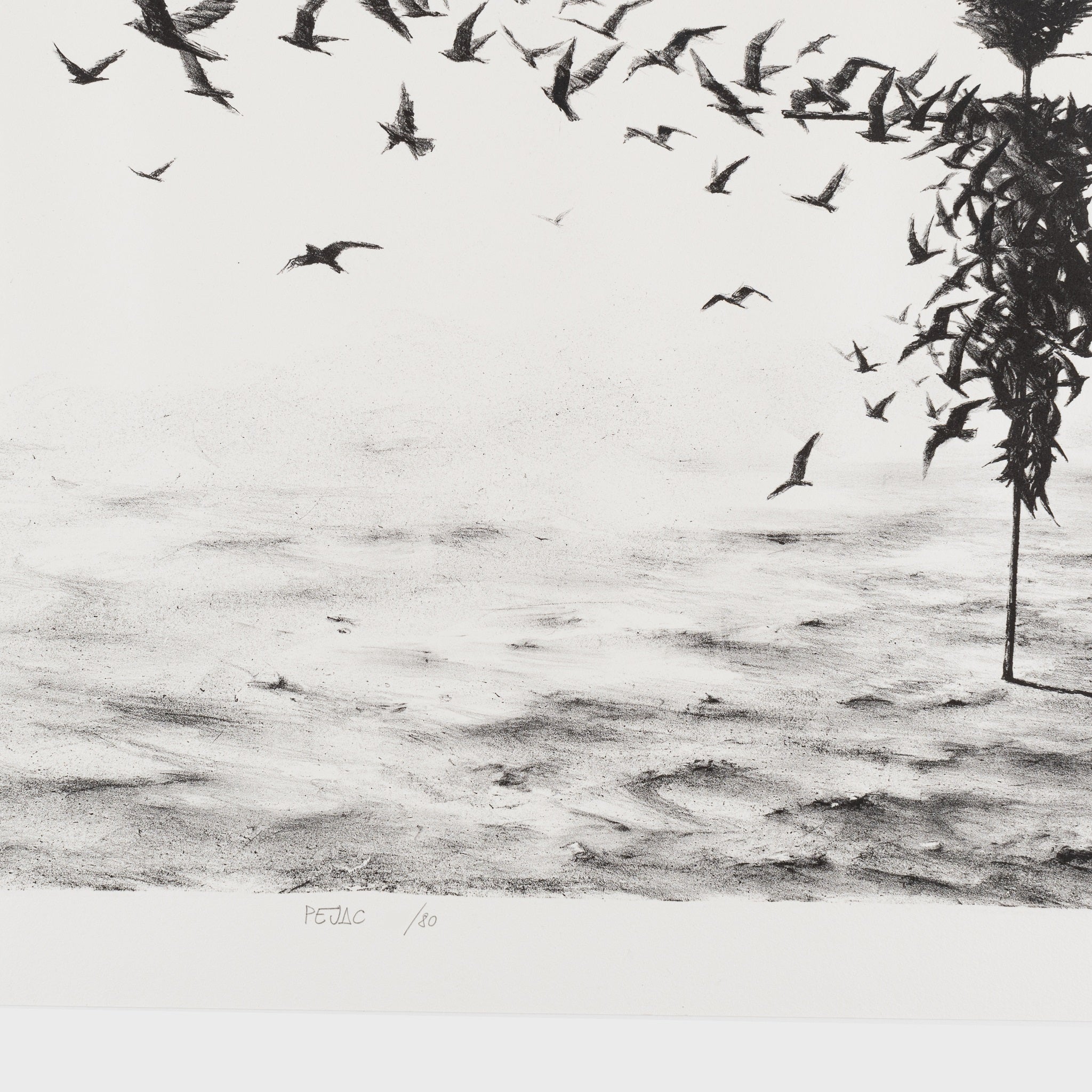 Pejac, Scattercrow, 2017 For Sale - Lougher Contemporary