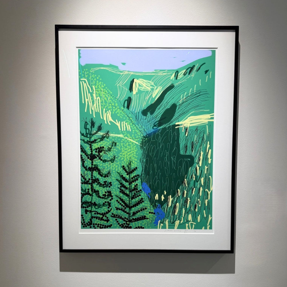 Framed David Hockney Untitled No. 21 Yosemite Suite print