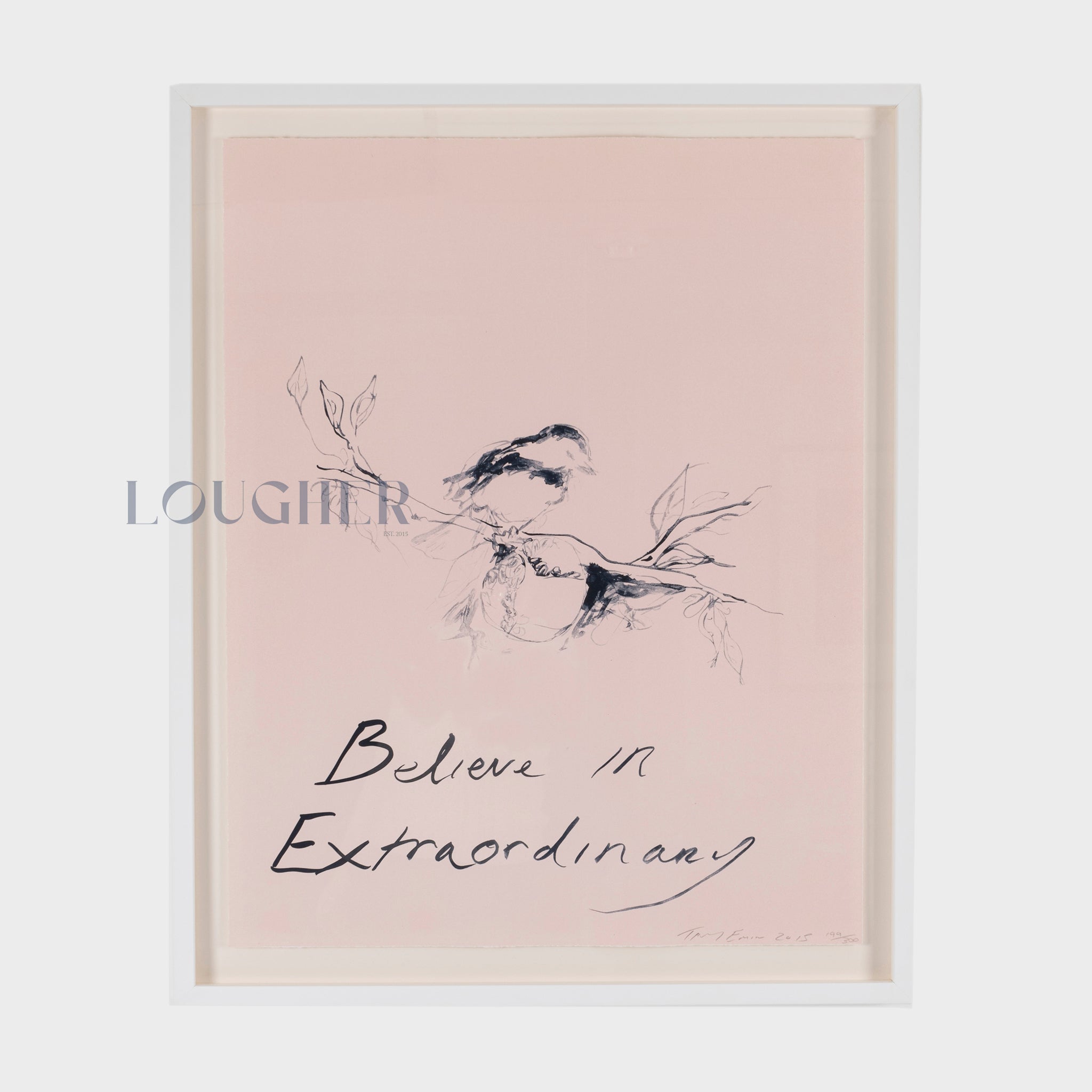 Tracey Emin, Believe in Extraordinary, 2015
