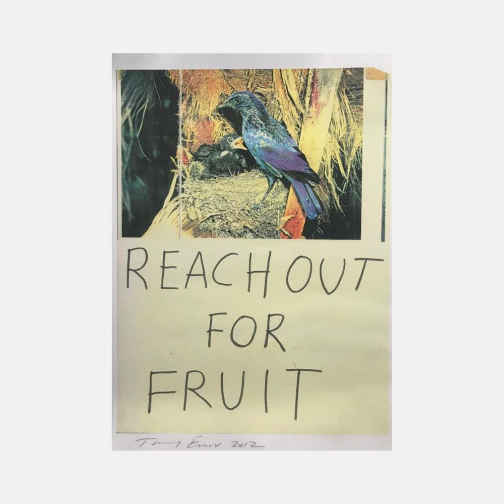 Tracey Emin, Reach Out For Fruit, 2012 For Sale | Lougher Contemporary