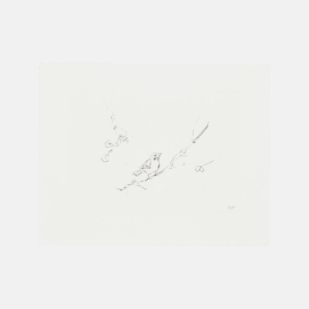 Tracey Emin, Sam and Jay's Birds, 2004