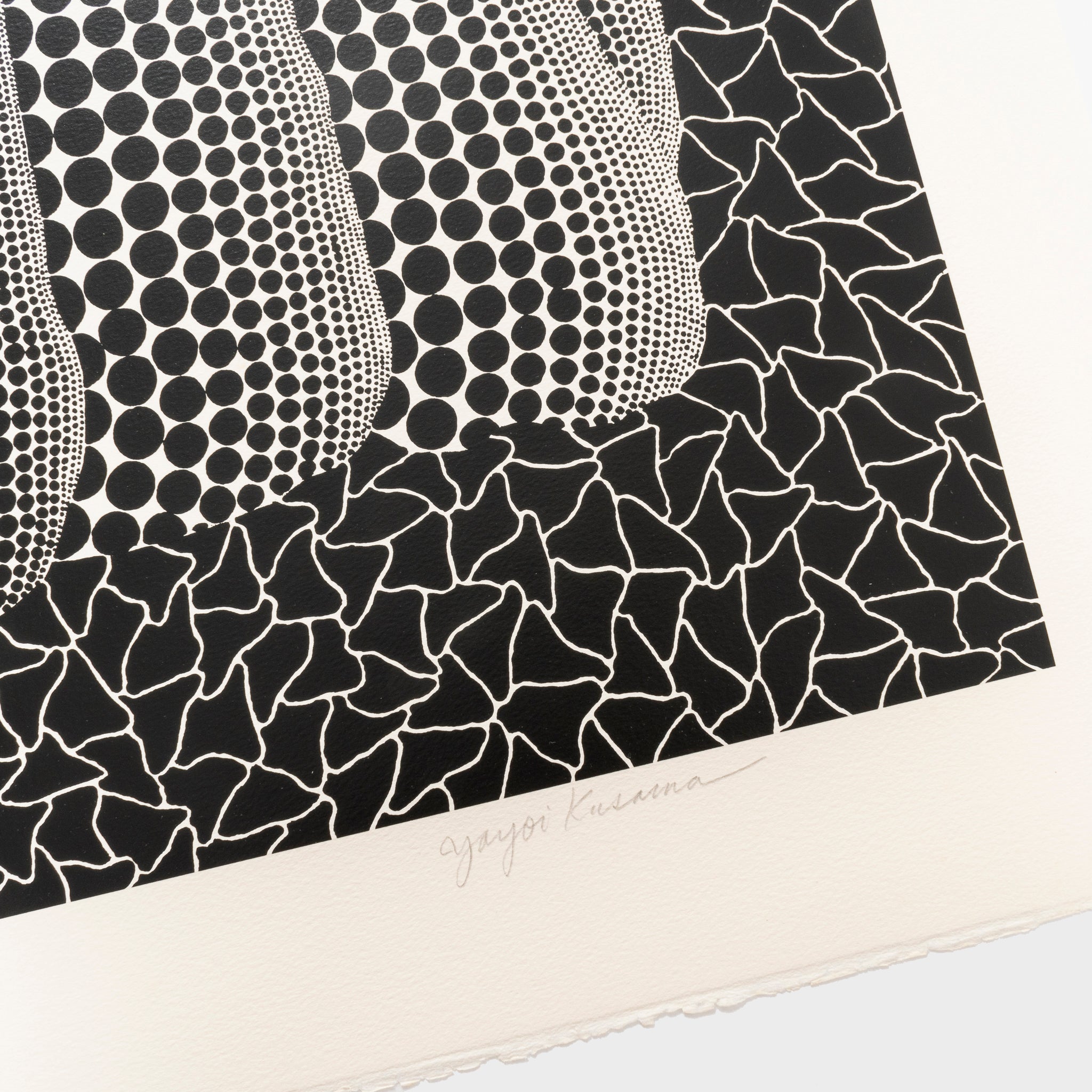 Cataloguing and Condition Checking Guide for Art Collectors