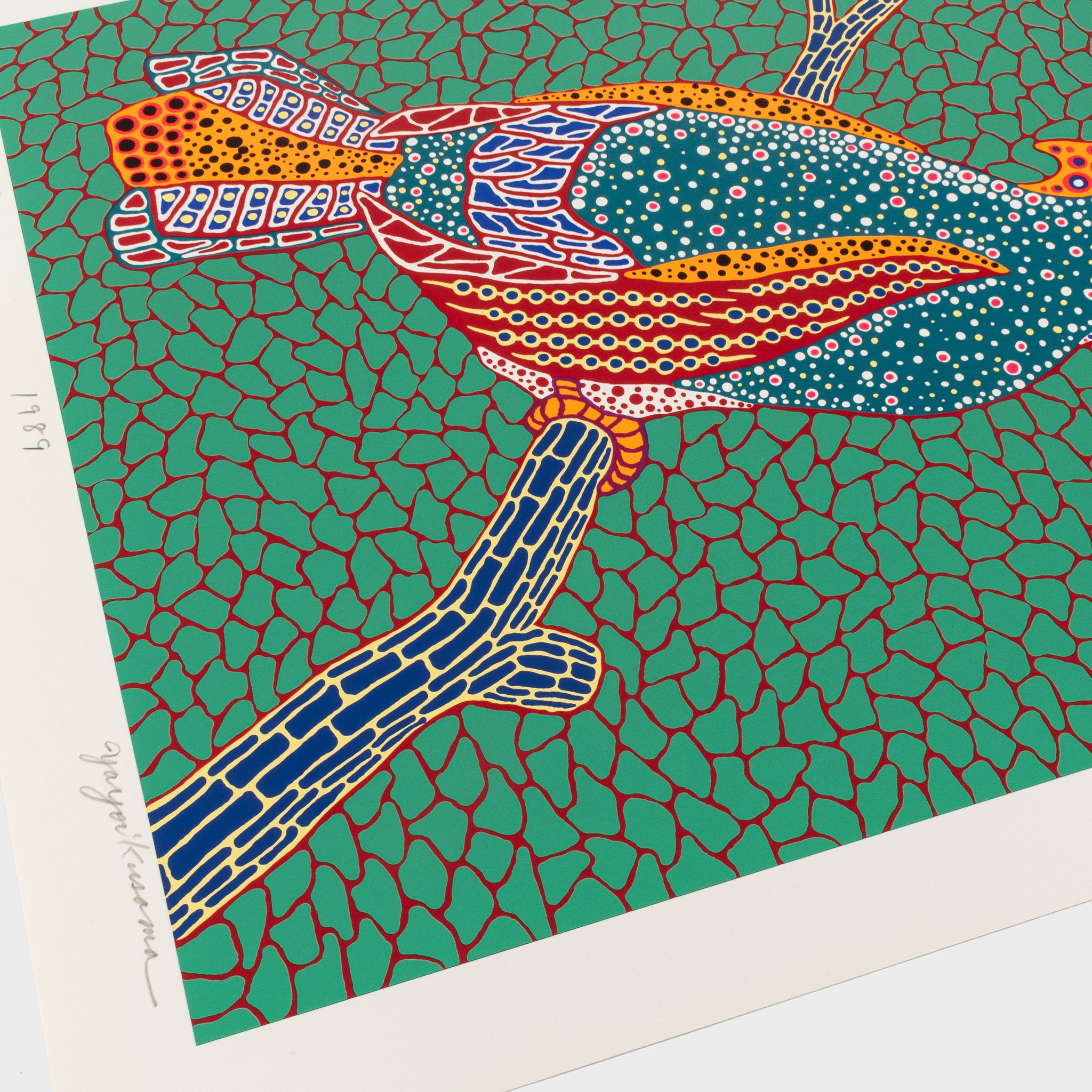 Cataloguing and Condition Checking Guide for Art Collectors