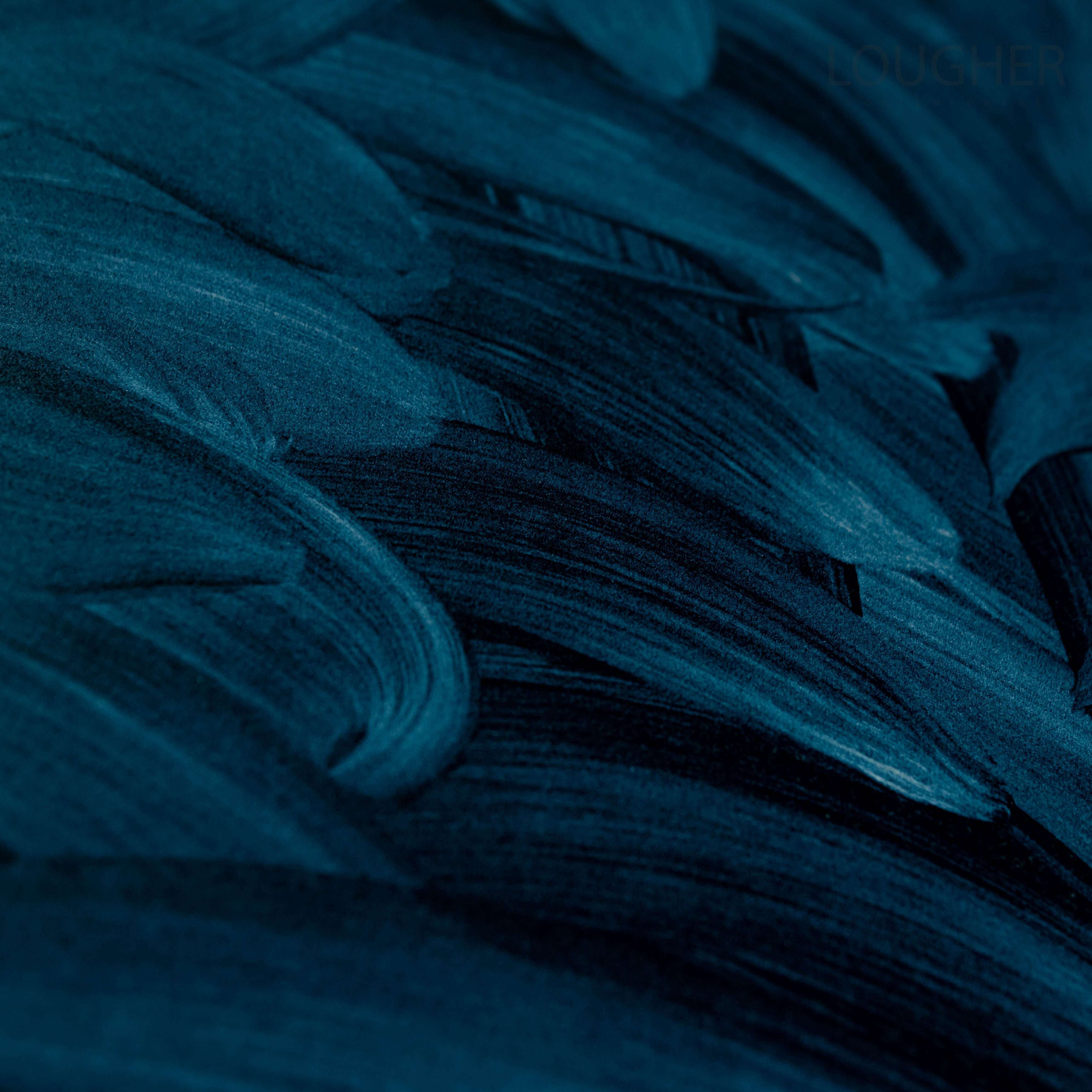 David Shrigley, A Gap in the Clouds, 2020 For Sale - Lougher Contemporary