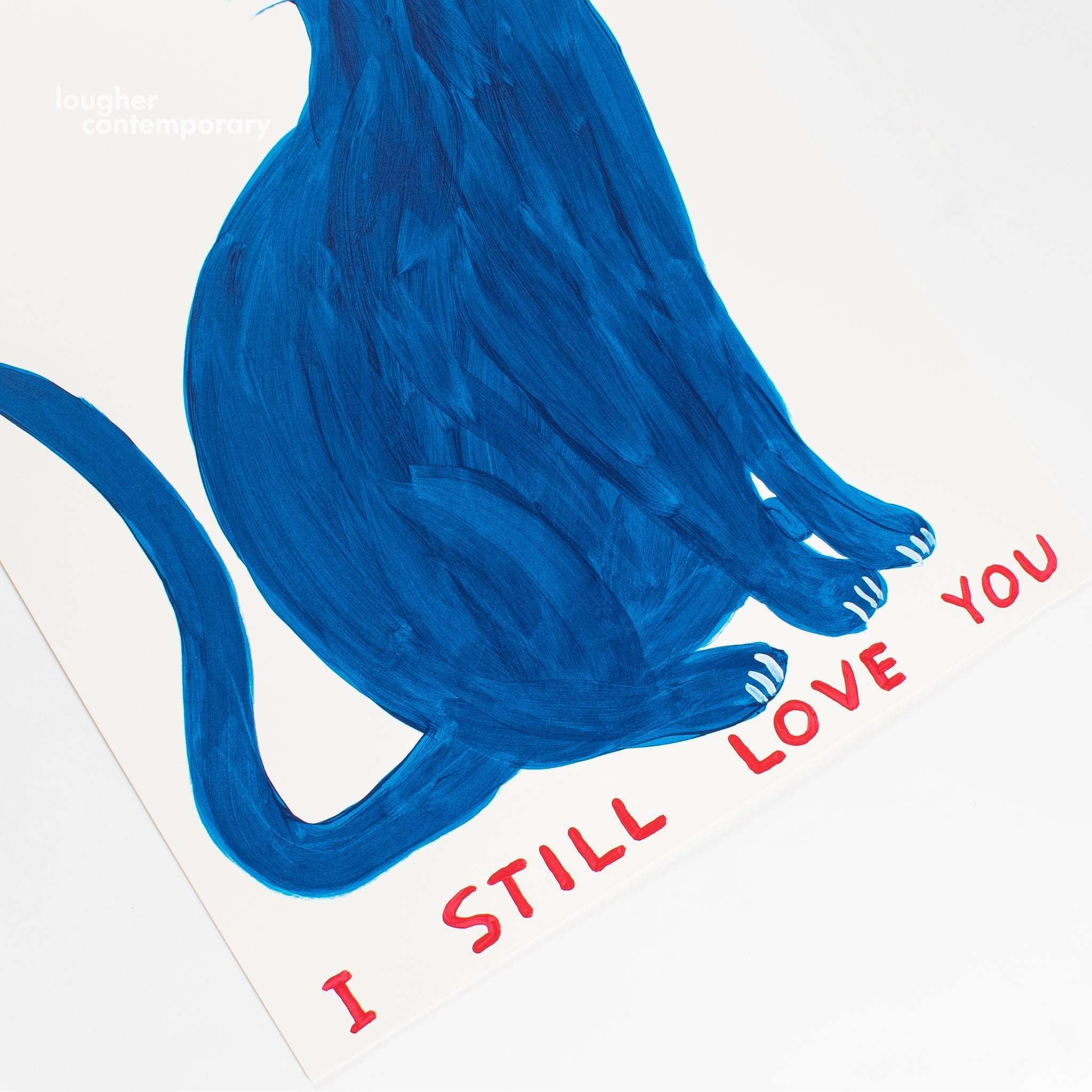 David Shrigley, Old Cat, 2022 For Sale - Lougher Contemporary