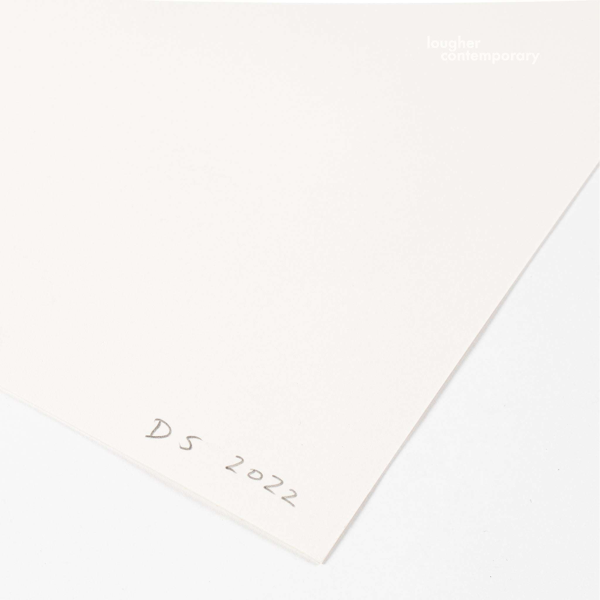 David Shrigley, Old Cat, 2022 For Sale - Lougher Contemporary