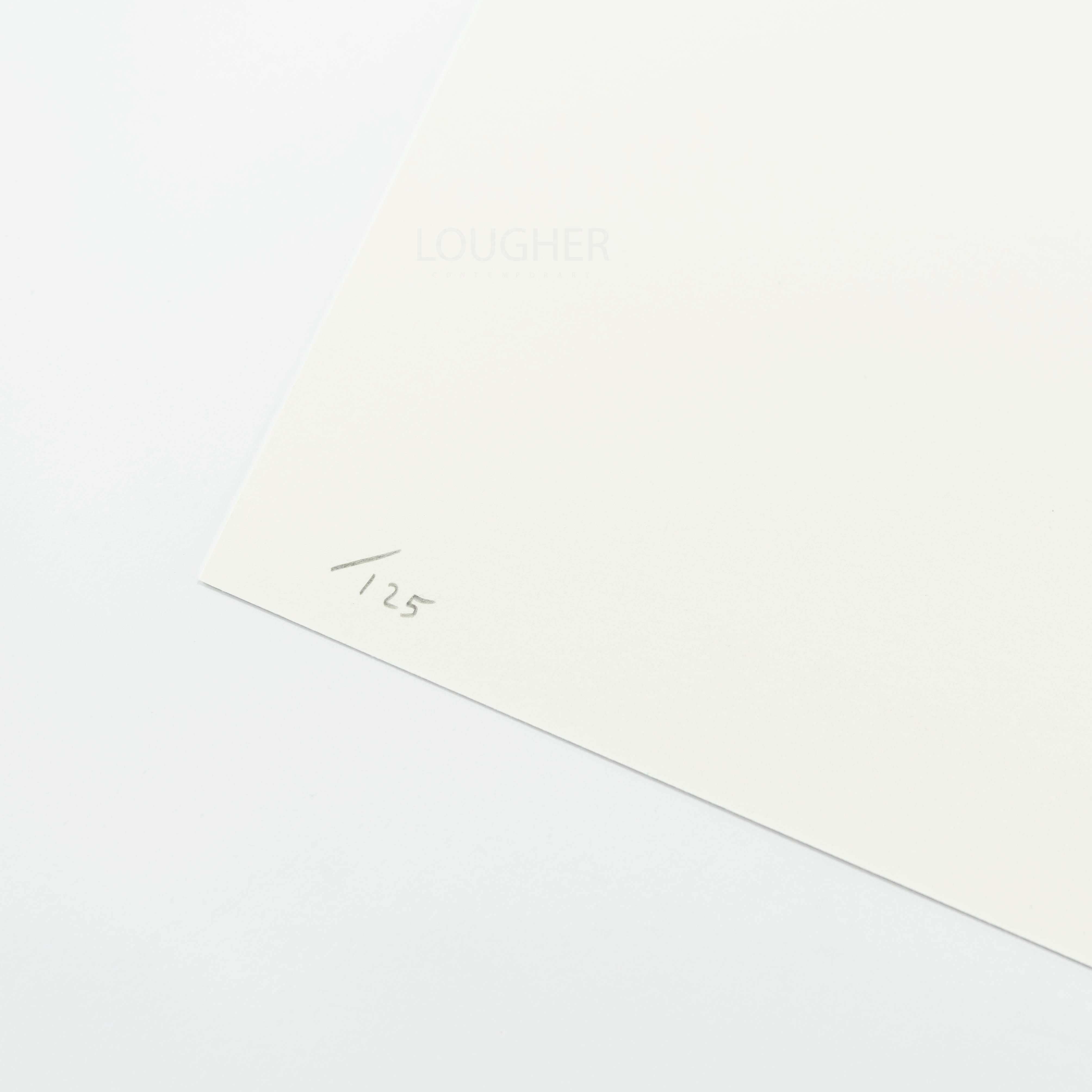 David Shrigley, To Hell With Zoos, 2021 For Sale - Lougher Contemporary