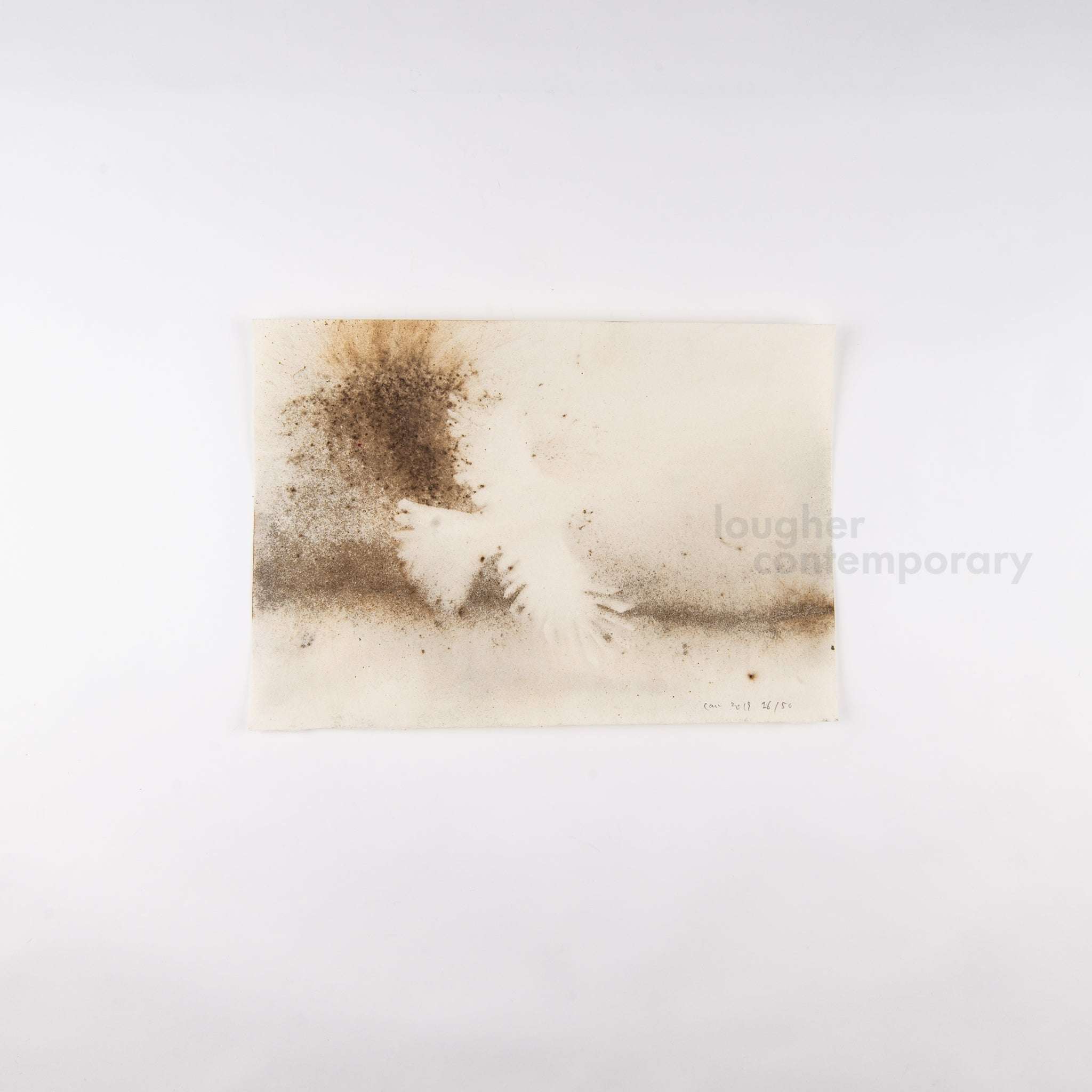 Cai Guo-Qiang, Murmuration Box, 2019 For Sale - Lougher Contemporary