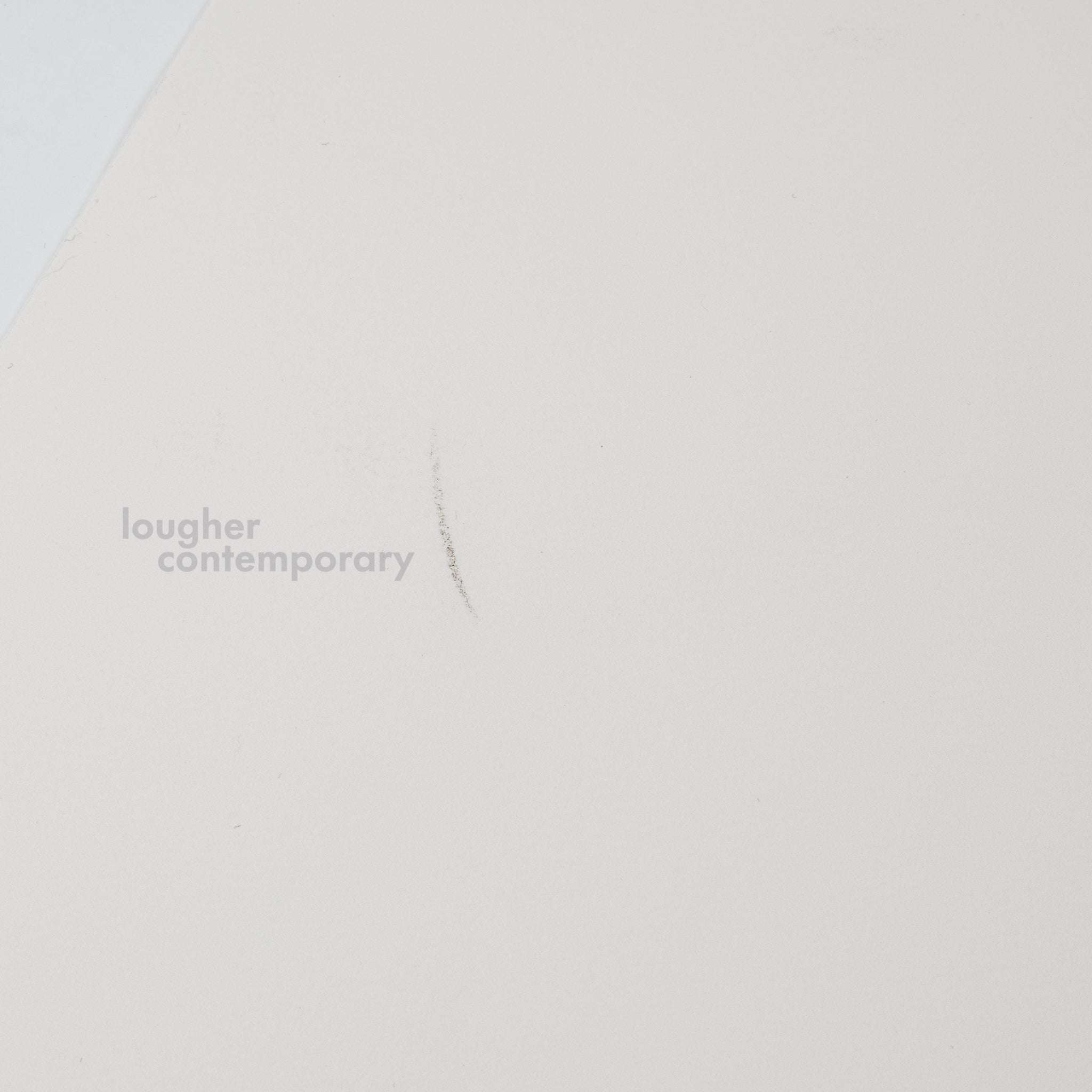 David Shrigley, I Will Retrieve Your Phone, 2021 For Sale - Lougher Contemporary