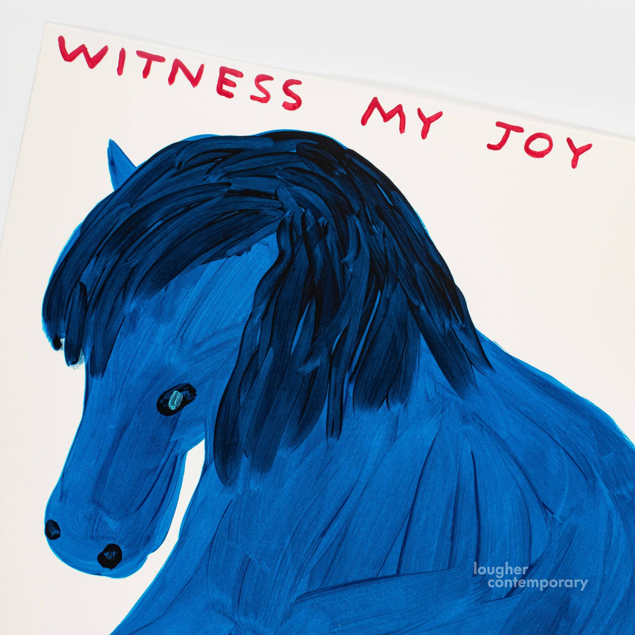 David Shrigley, Witness My Joy, 2022 For Sale - Lougher Contemporary