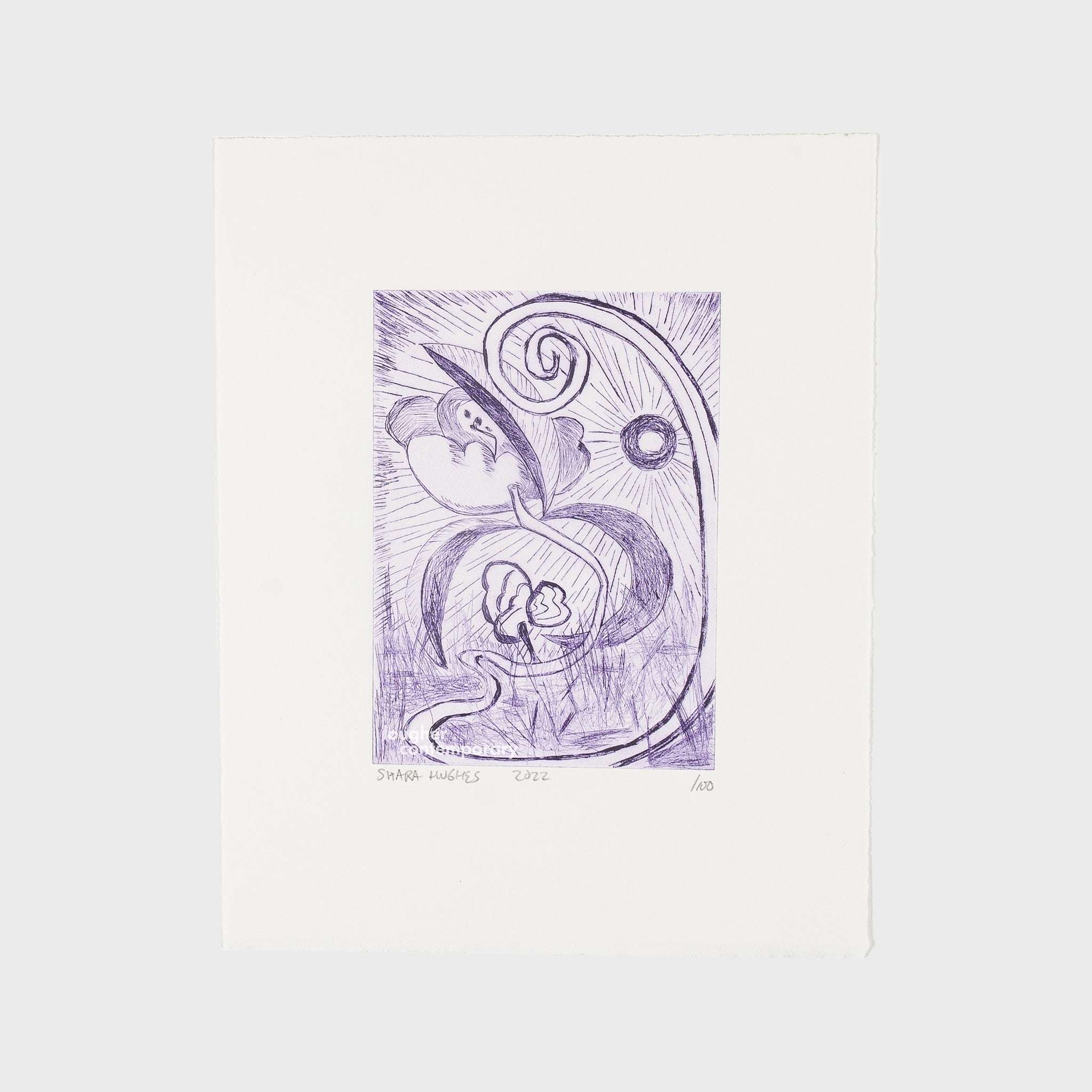 Shara Hughes, Night Opening, 2022 For Sale - Lougher Contemporary