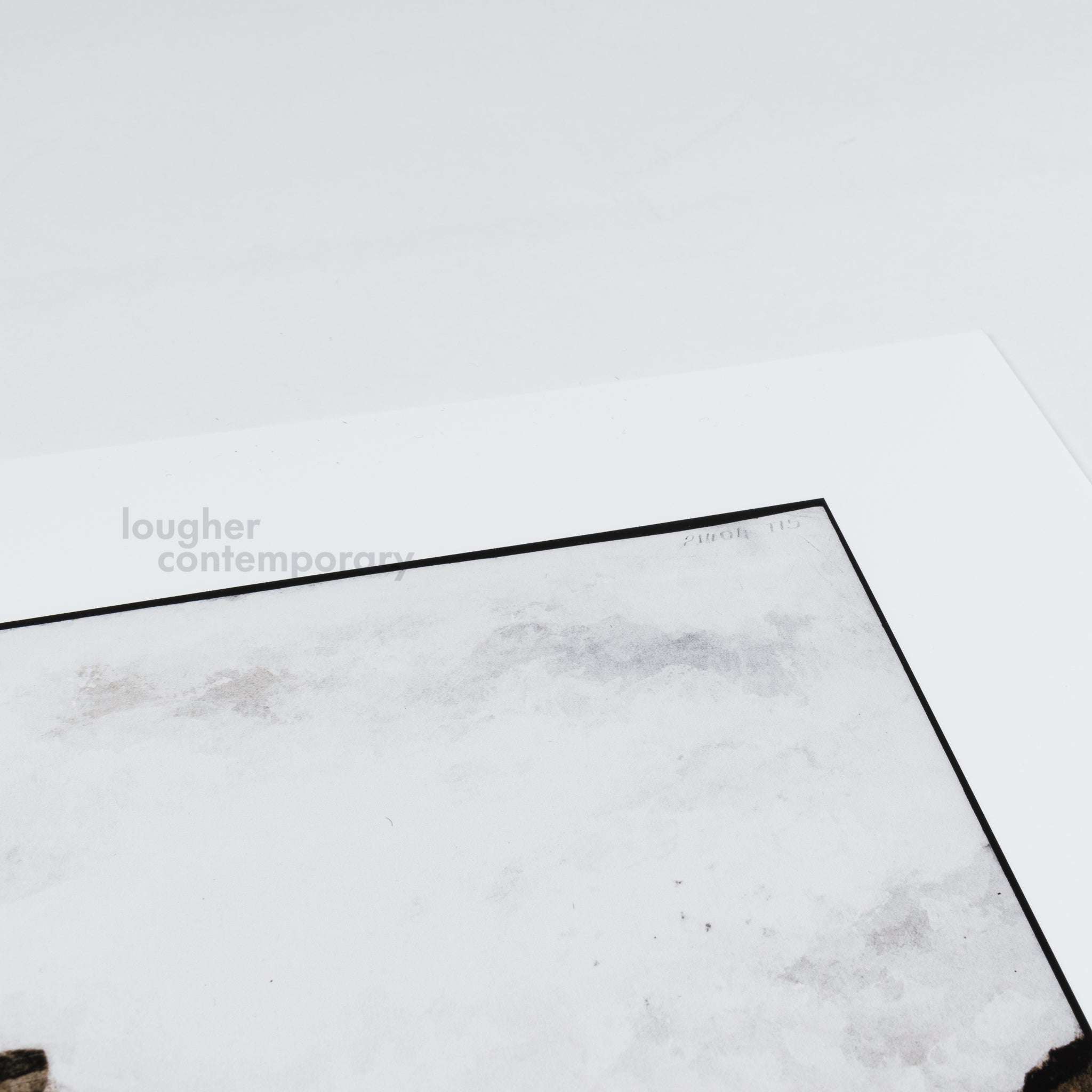 Thomas Ruff, Tripe_12 (Seeringham, Munduppum inside gateway), 2018 For Sale - Lougher Contemporary