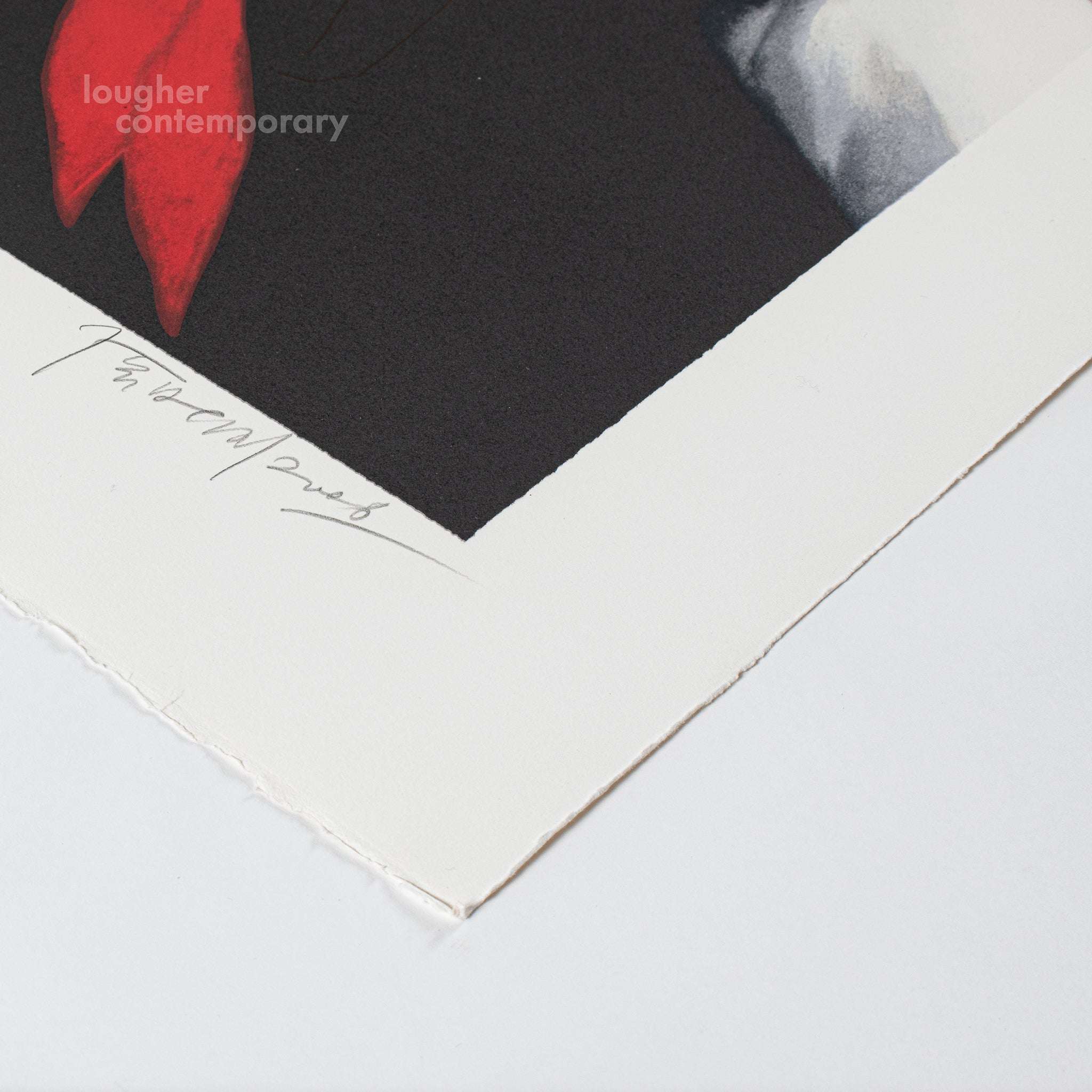 Zhang Xiaogang, Brother and Sister (from Bloodline portfolio), 2006 For Sale - Lougher Contemporary