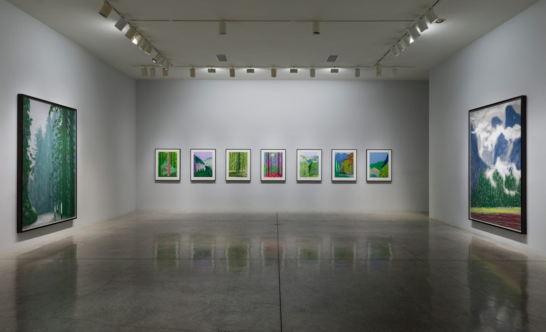 David Hockney Yosemite Suite artwork displayed in a contemporary interior
