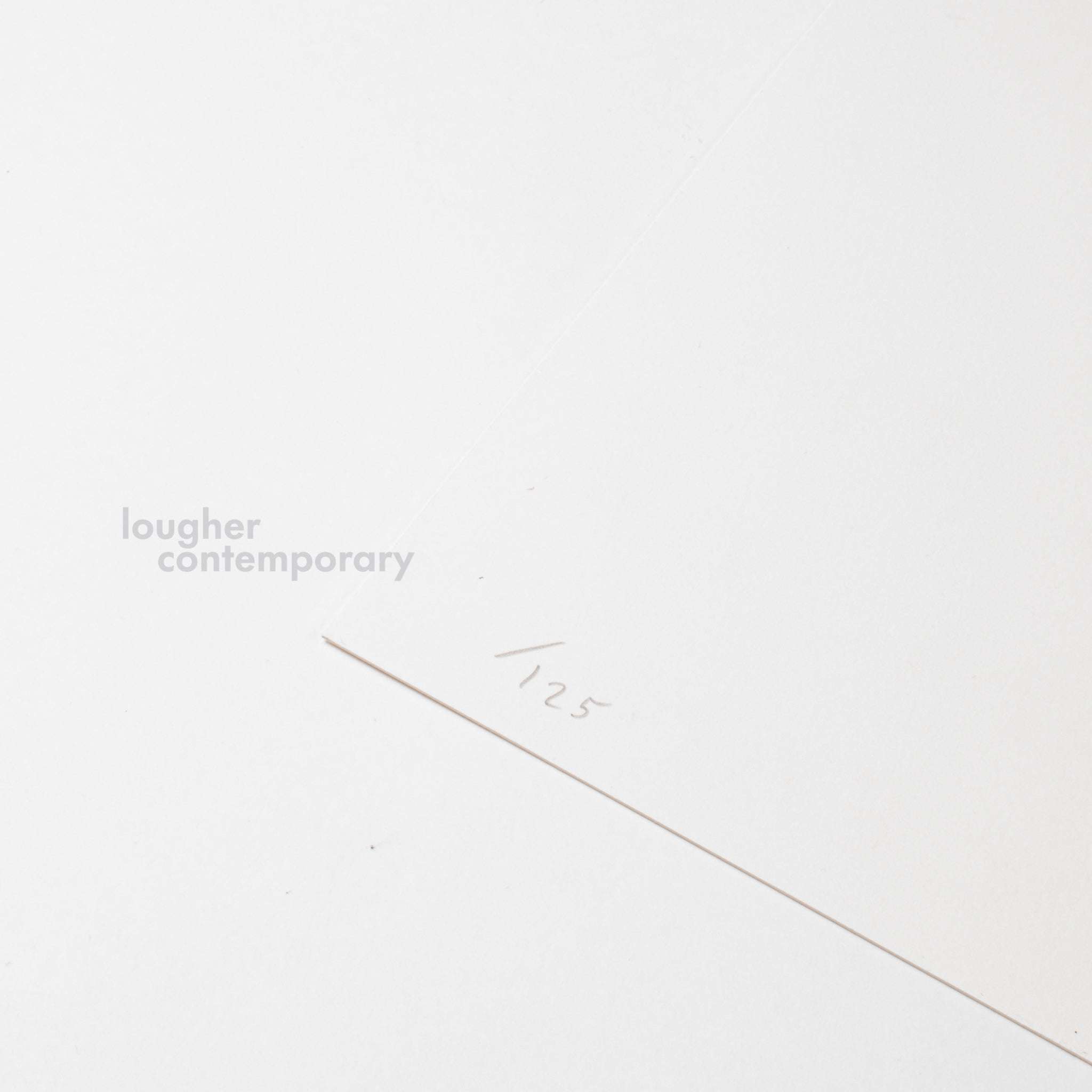 David Shrigley, I Will Retrieve Your Phone, 2021 - Lougher Contemporary