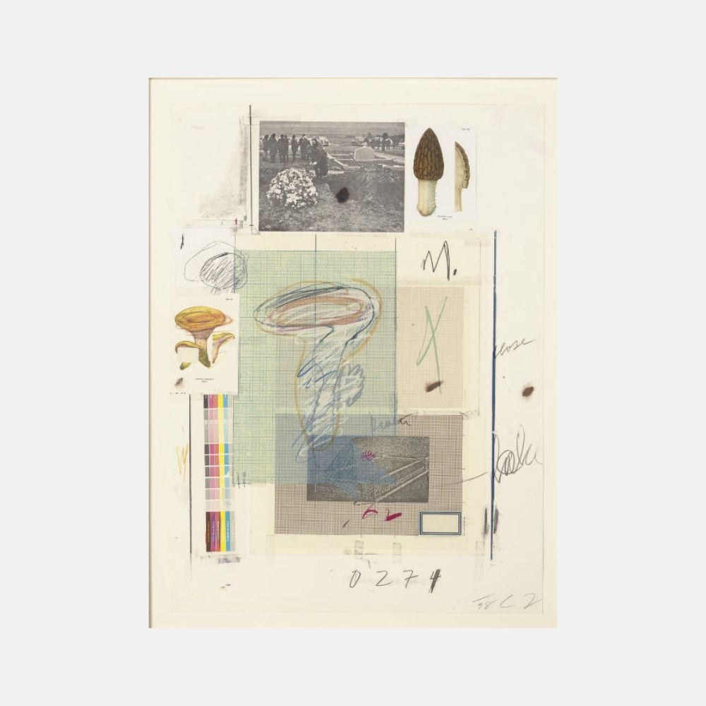 Cy Twombly Plate VII Natural History (1974) | Limited Edition Print for Sale