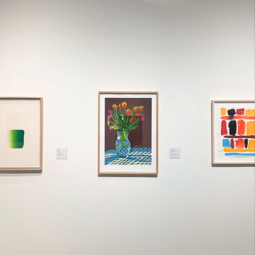 David Hockney flower still life ipad drawing framed in art gallery