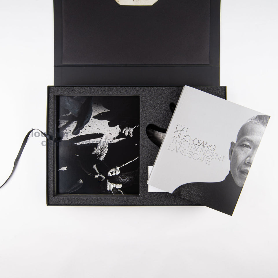 collections/LC-A764-Cai_Guo-Qiang-Murmuration_Box_2019_8.jpg