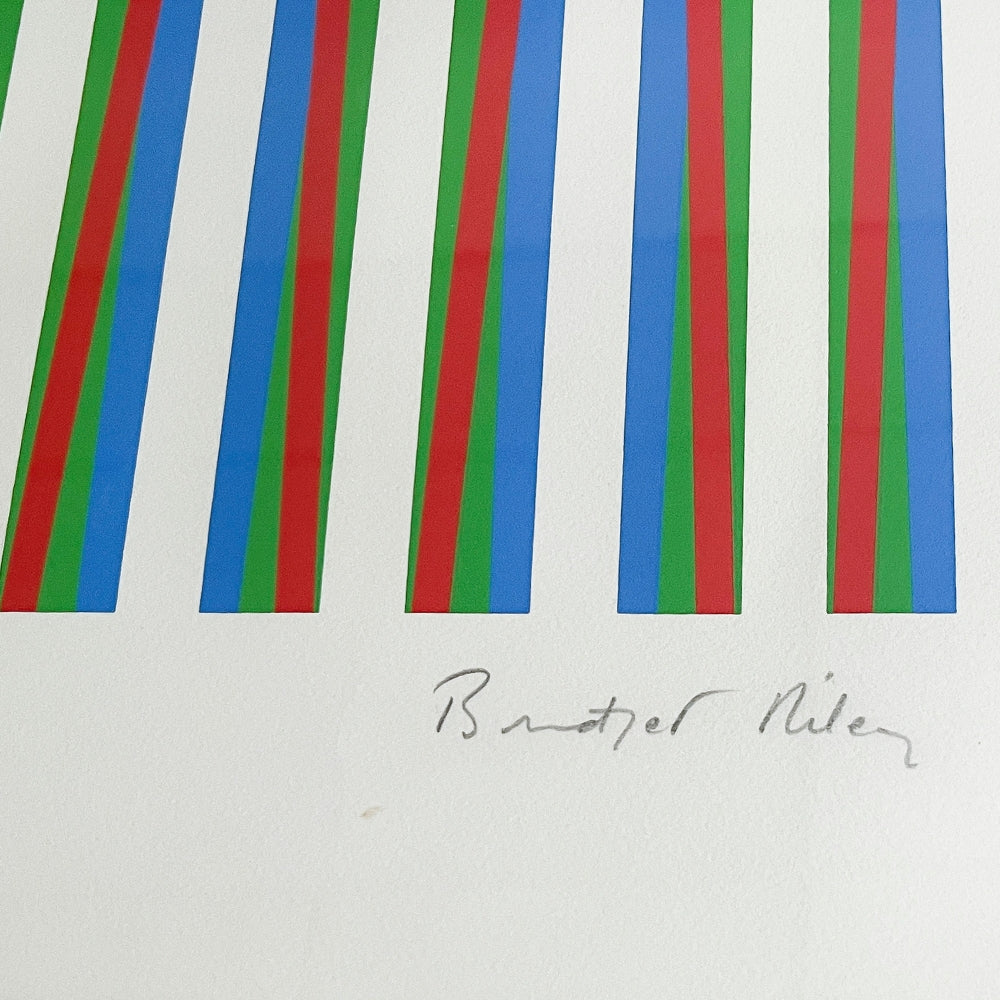 Bridget Riley, Firebird (S.9, T.G.10), 1971, abstract Op Art composition with rhythmic geometric patterns and vibrant colour.