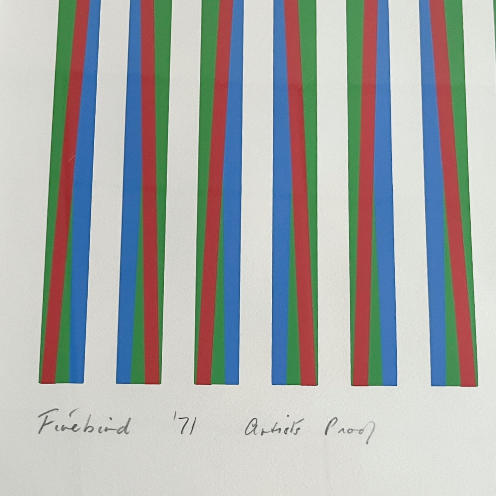 Bridget Riley, Firebird (S.9, T.G.10), 1971, abstract Op Art composition with rhythmic geometric patterns and vibrant colour.