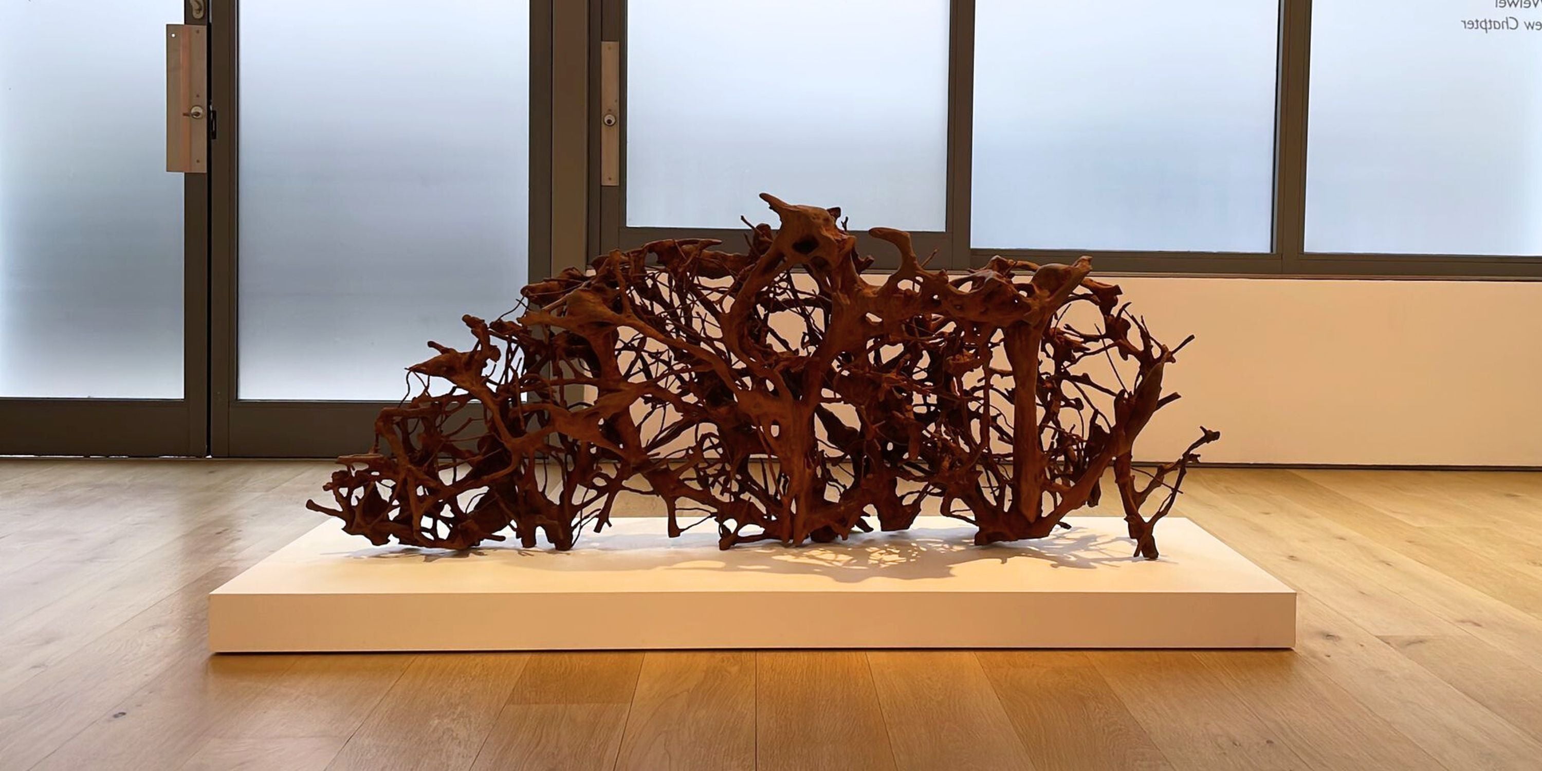 Ai Weiwei: A New Chapter at Lisson Gallery – A Provocative Exploration
