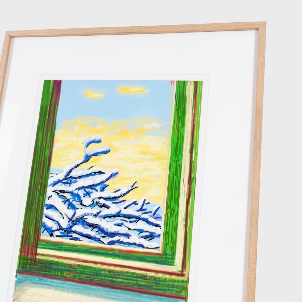 Close up detail of david hockney ipad drawing nature still life