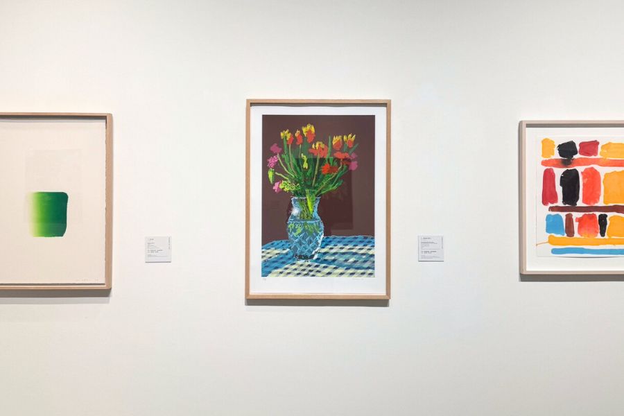 David Hockney flower still life ipad drawing framed in art gallery